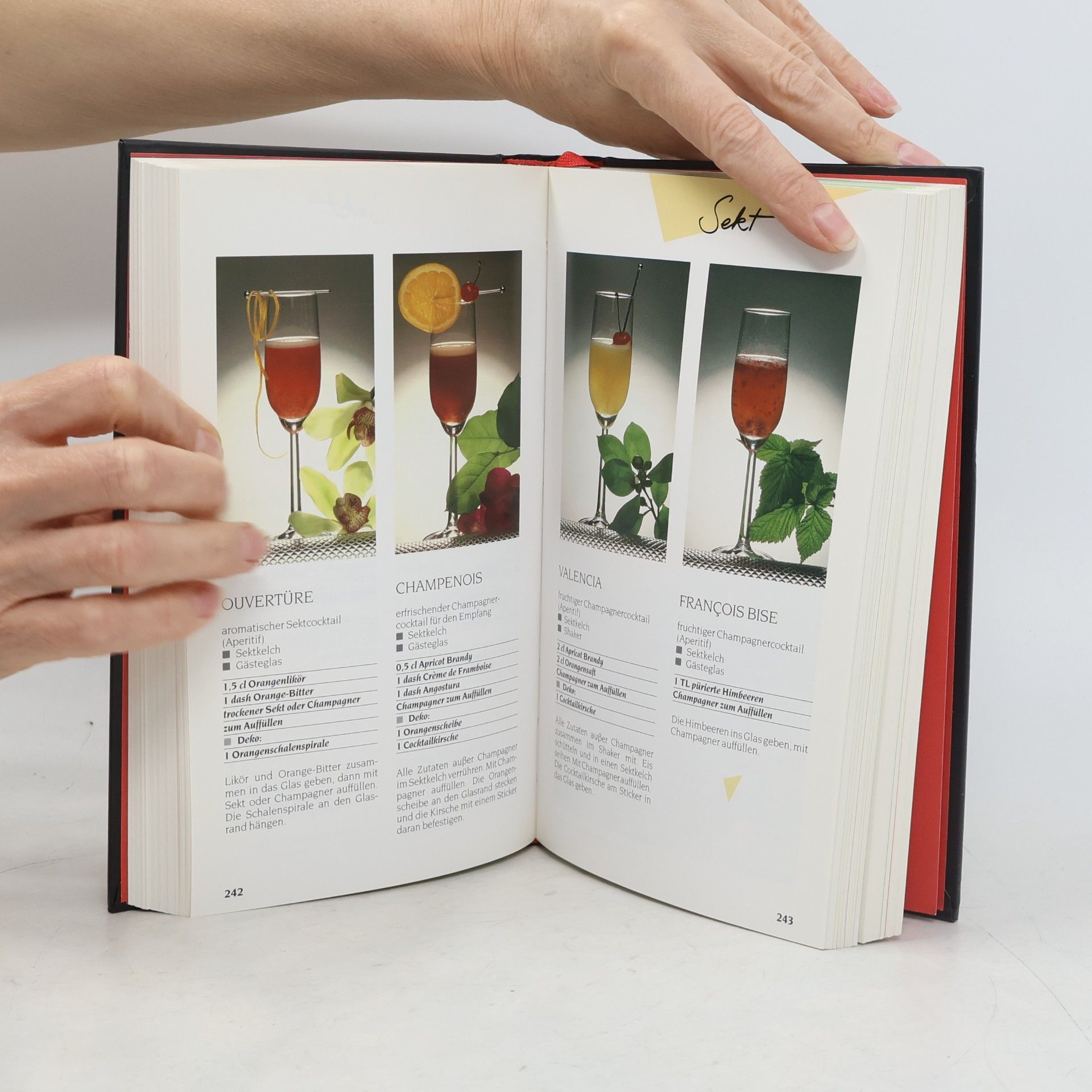 Peter Bohrmann Falken-Mixbuch