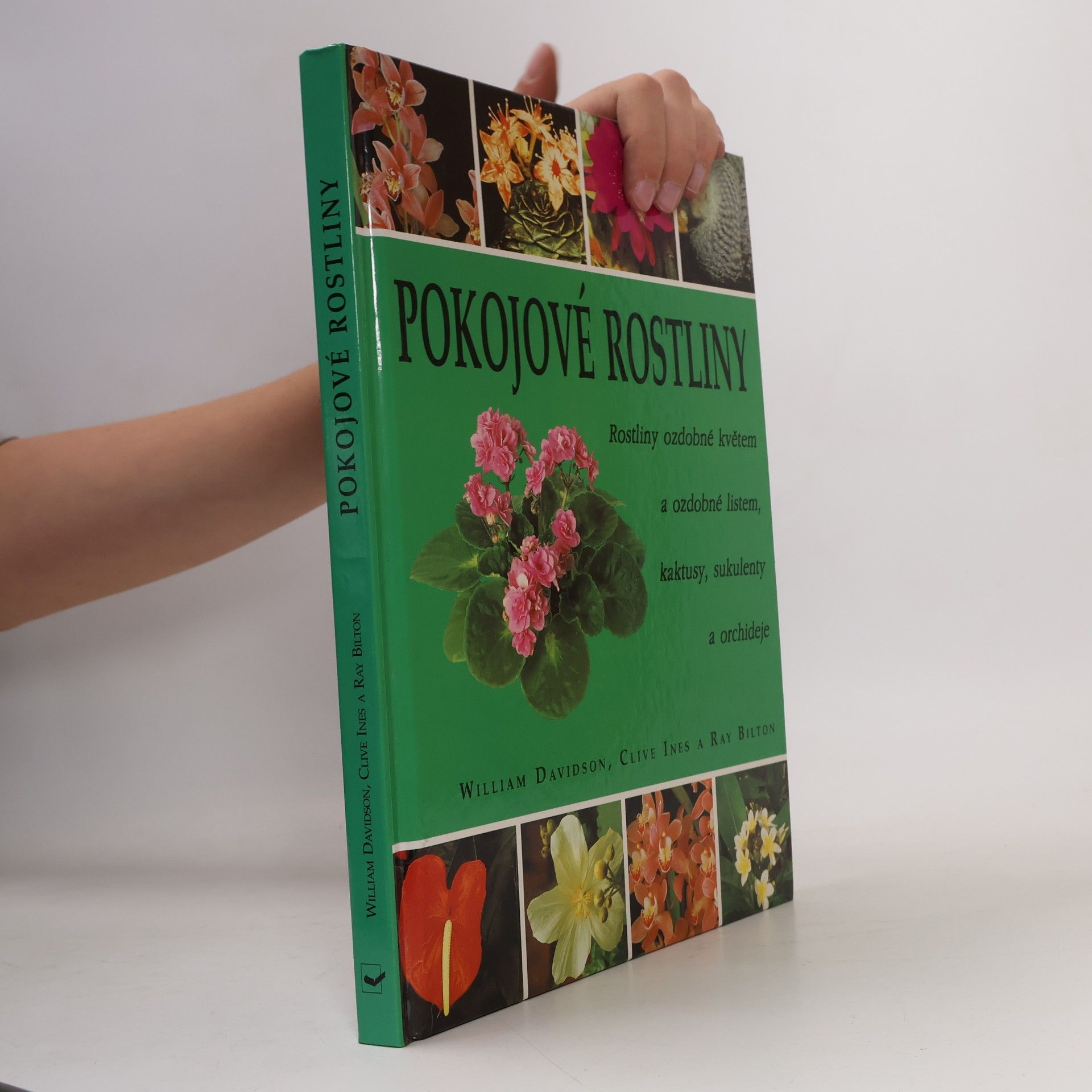 Ray Bilton Pokojové rostliny: Rostliny ozdobné květem a ozdobné listem, kaktusy, sukulenty a orchideje