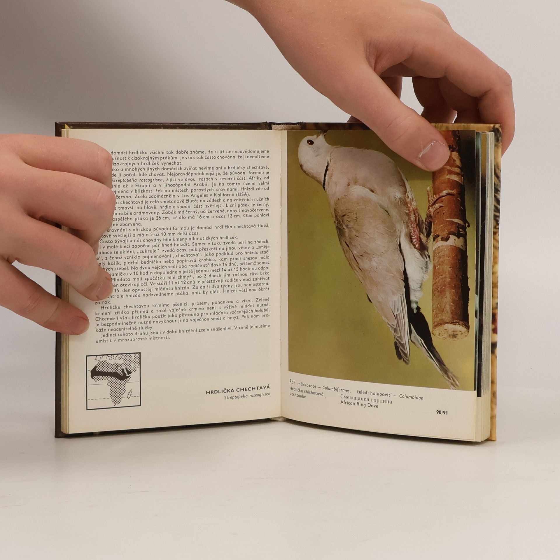 Zdeněk Veger Kapesní atlas cizokrajných ptáků