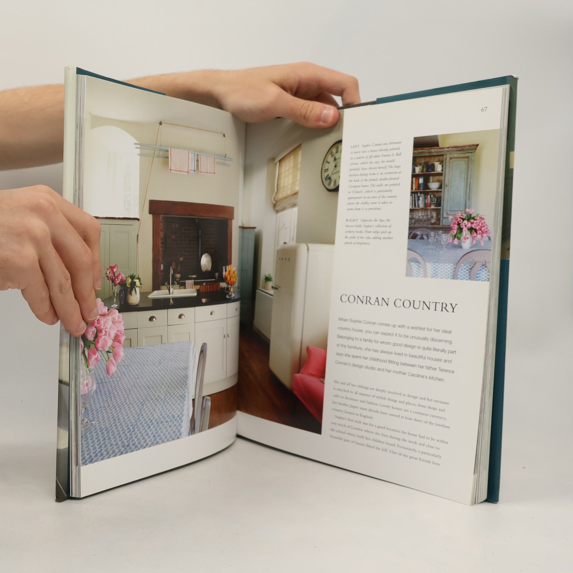 Ros Byam Shaw Farrow & Ball Living with Colour