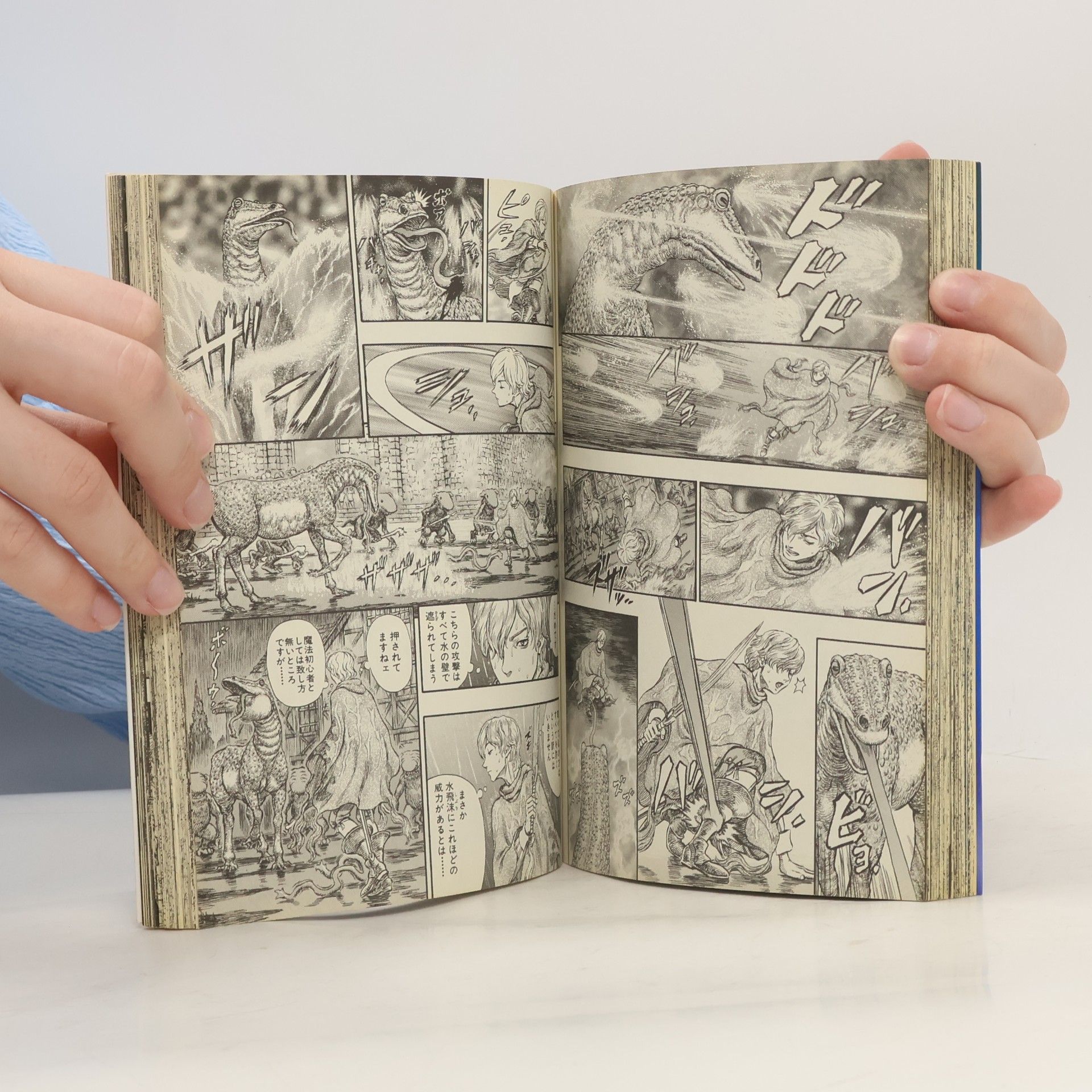 Kentaro Miura JETS COMICS - 25: ベルセルク