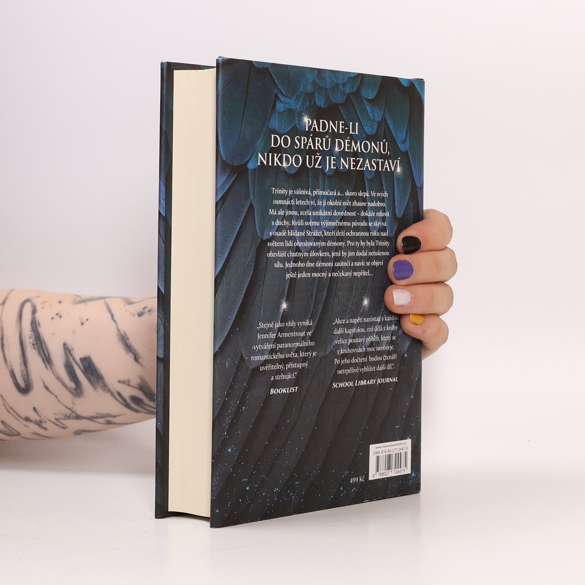 Jennifer L. Armentrout Bouře a běs