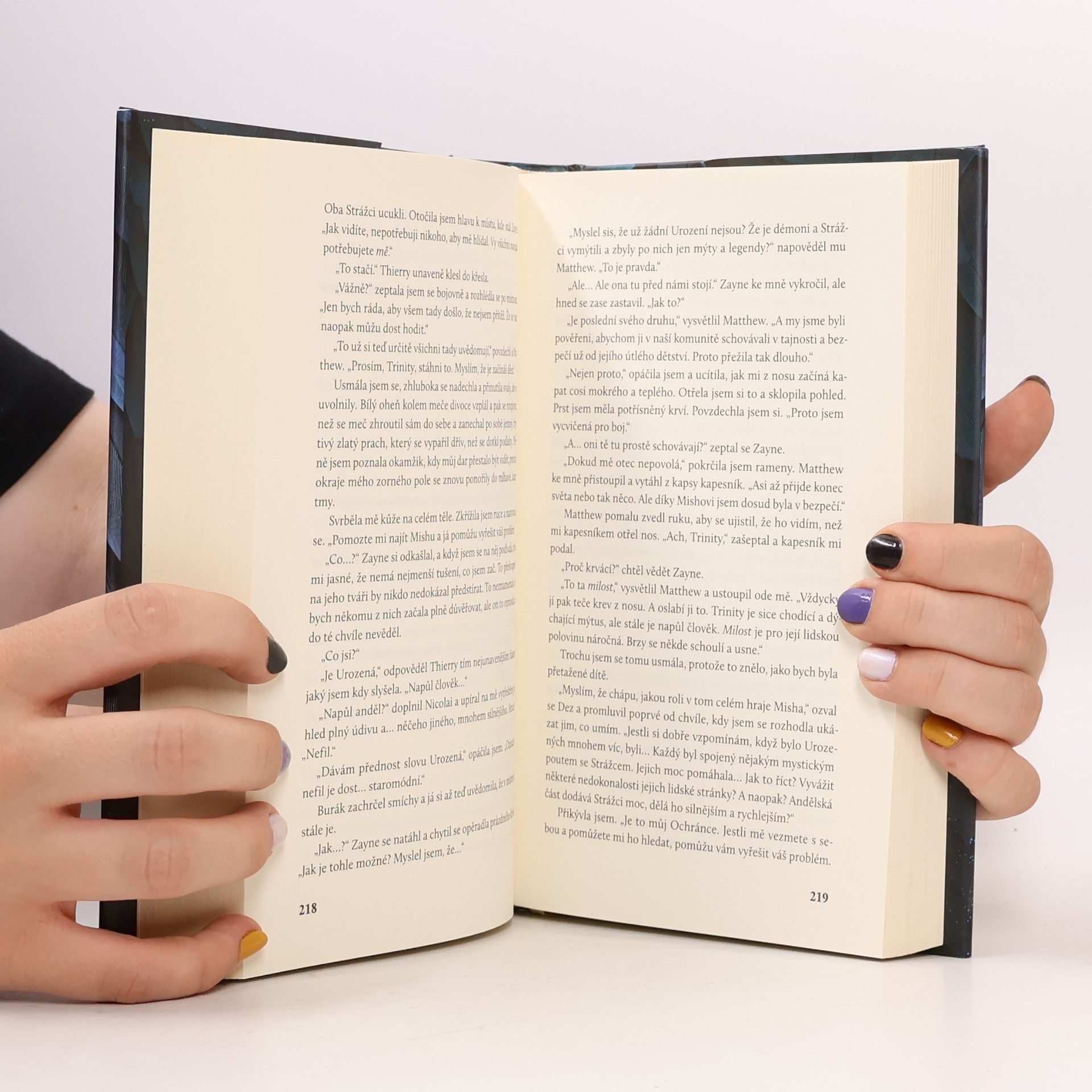 Jennifer L. Armentrout Bouře a běs
