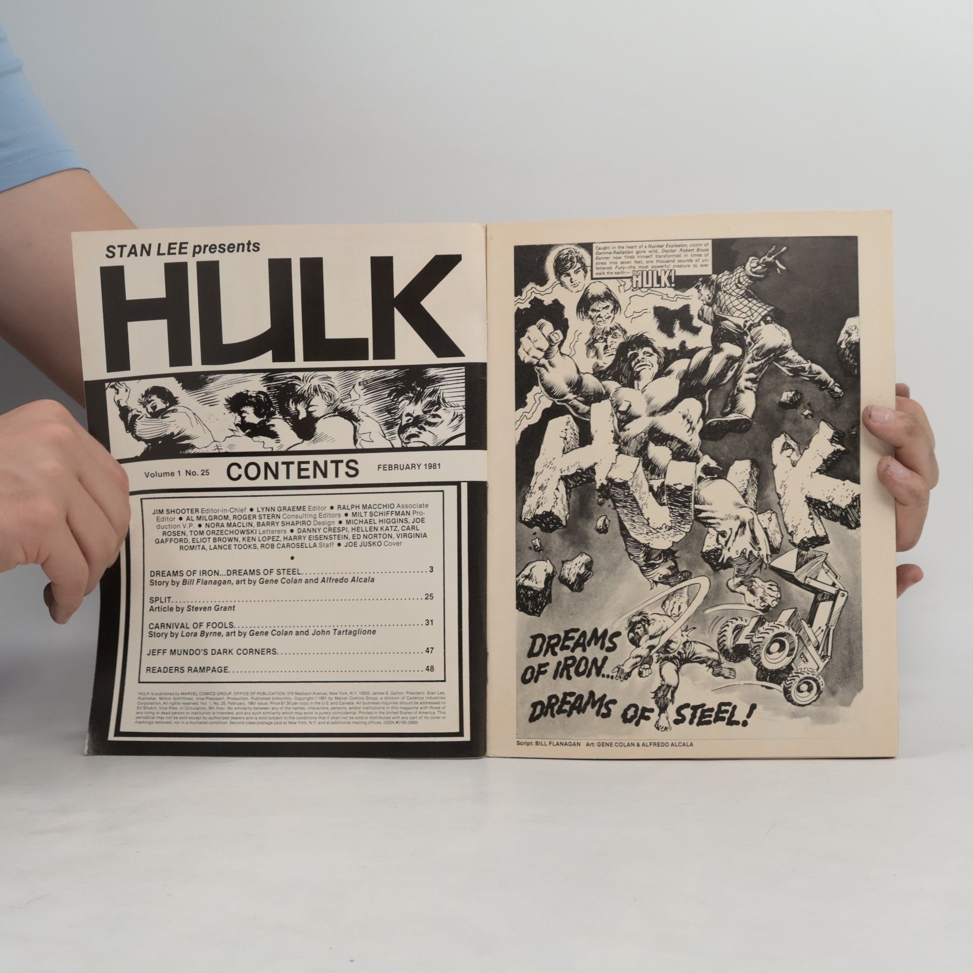Kolektív autorov The Hulk! 25