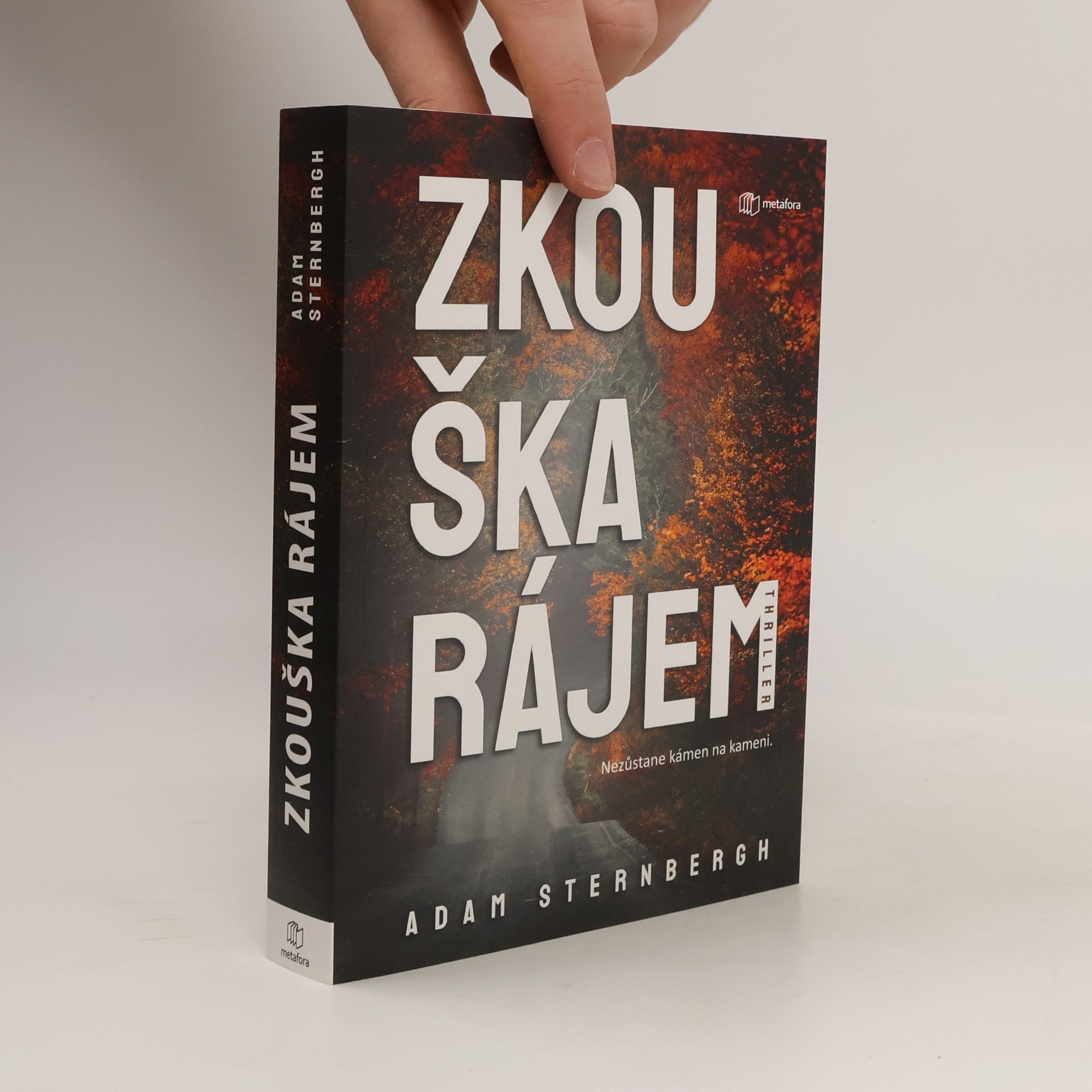 Adam Sternbergh Zkouška rájem