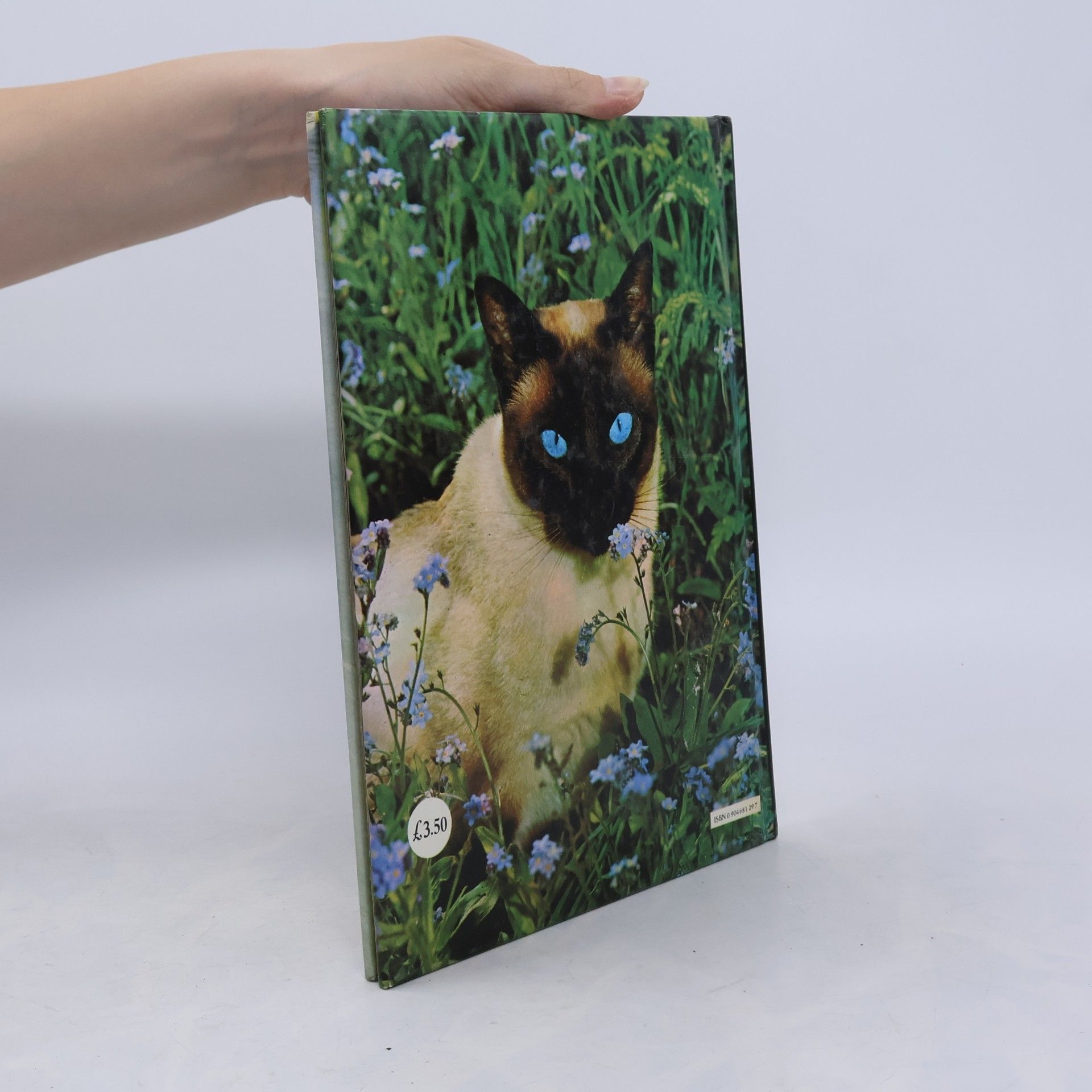 Peggy Wratten Cats