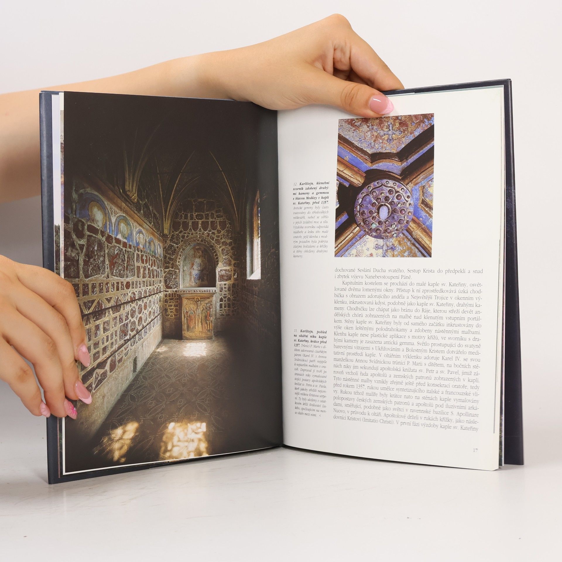 Jiří Fajt Magister Theodoricus, dvorní malíř císaře Karla IV. : umělecká výzdoba posvátných prostor hradu Karlštejna : [katalog k výstavě], Praha 12. listopadu 1997 - 26. dubna 1998