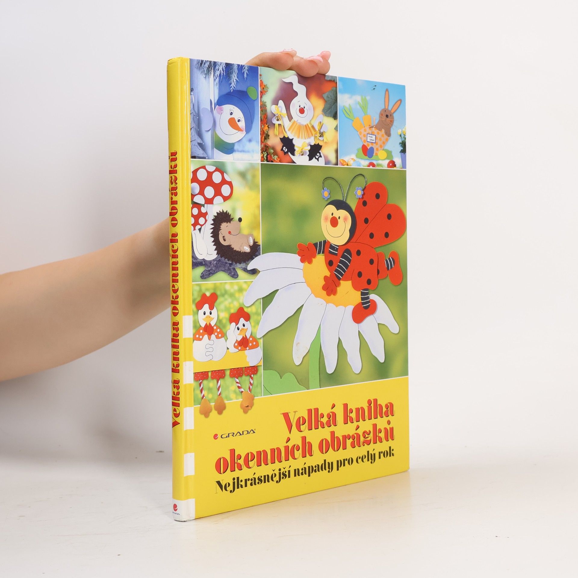 Kolektiv autorů Velká kniha okenních obrázků