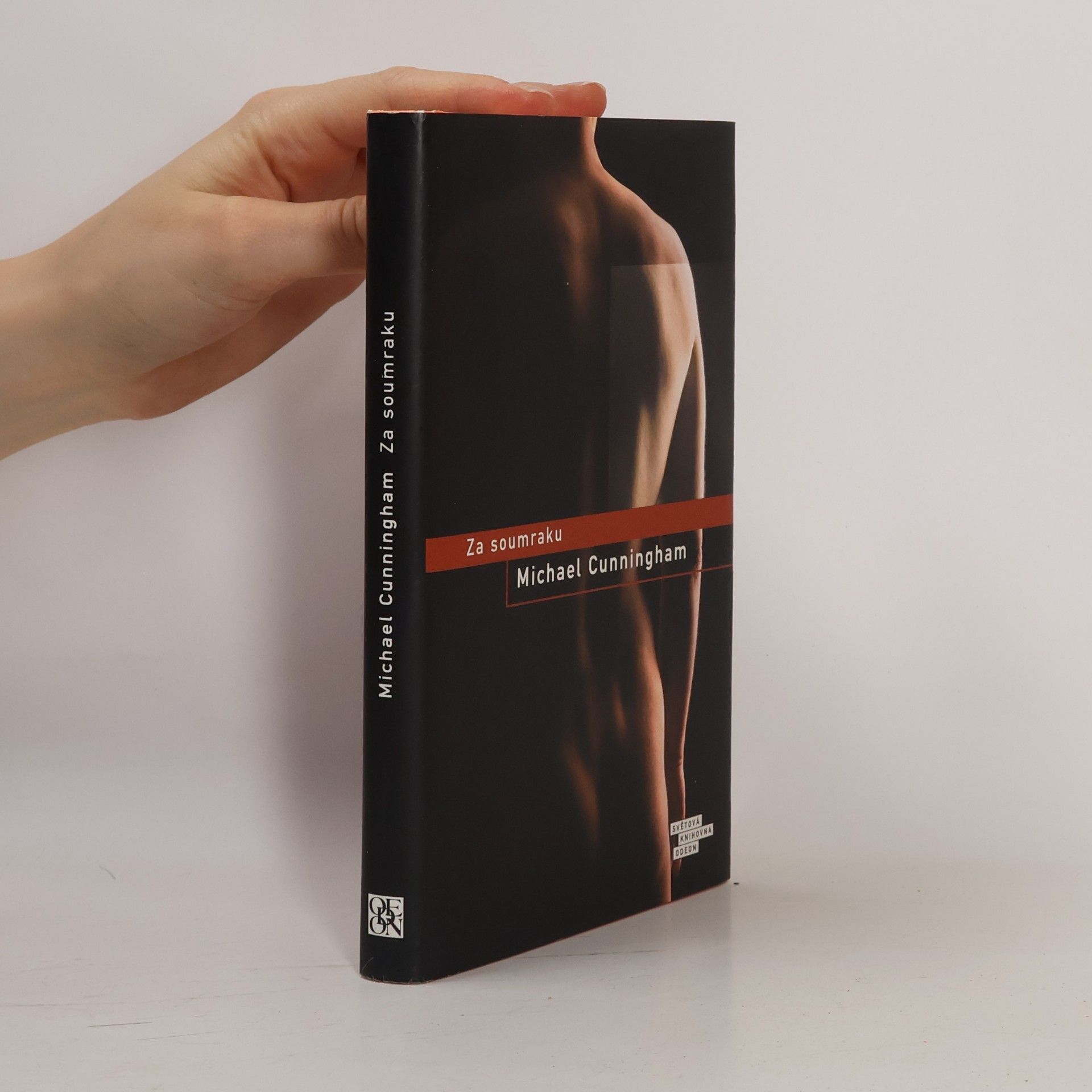 Michael Cunningham Za soumraku