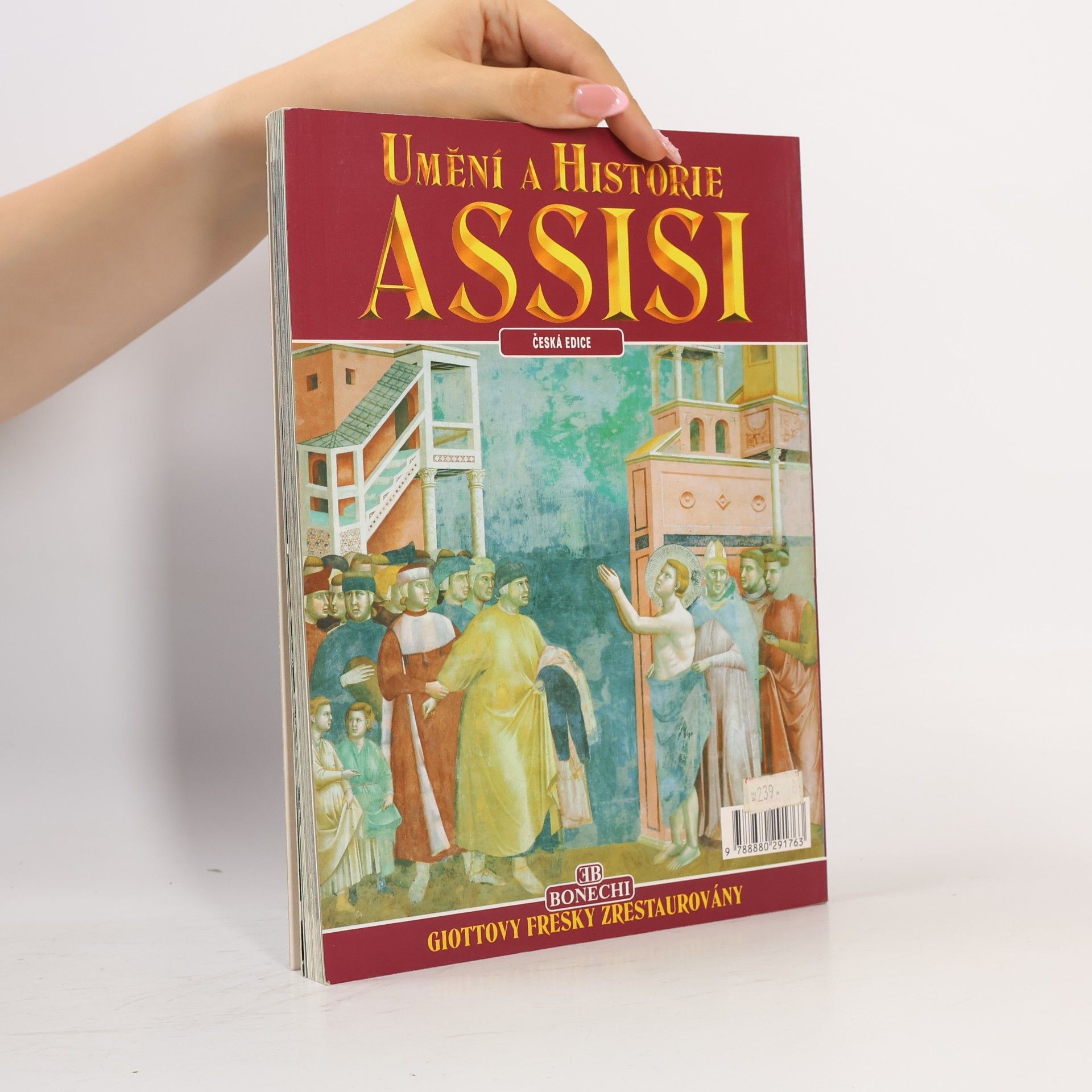 Nicola Giandomenico Umění a historie Assisi