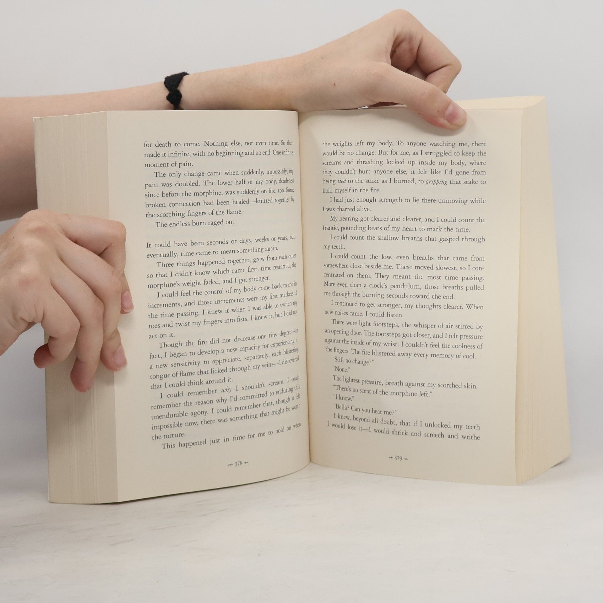 Stephenie Meyer Breaking Dawn