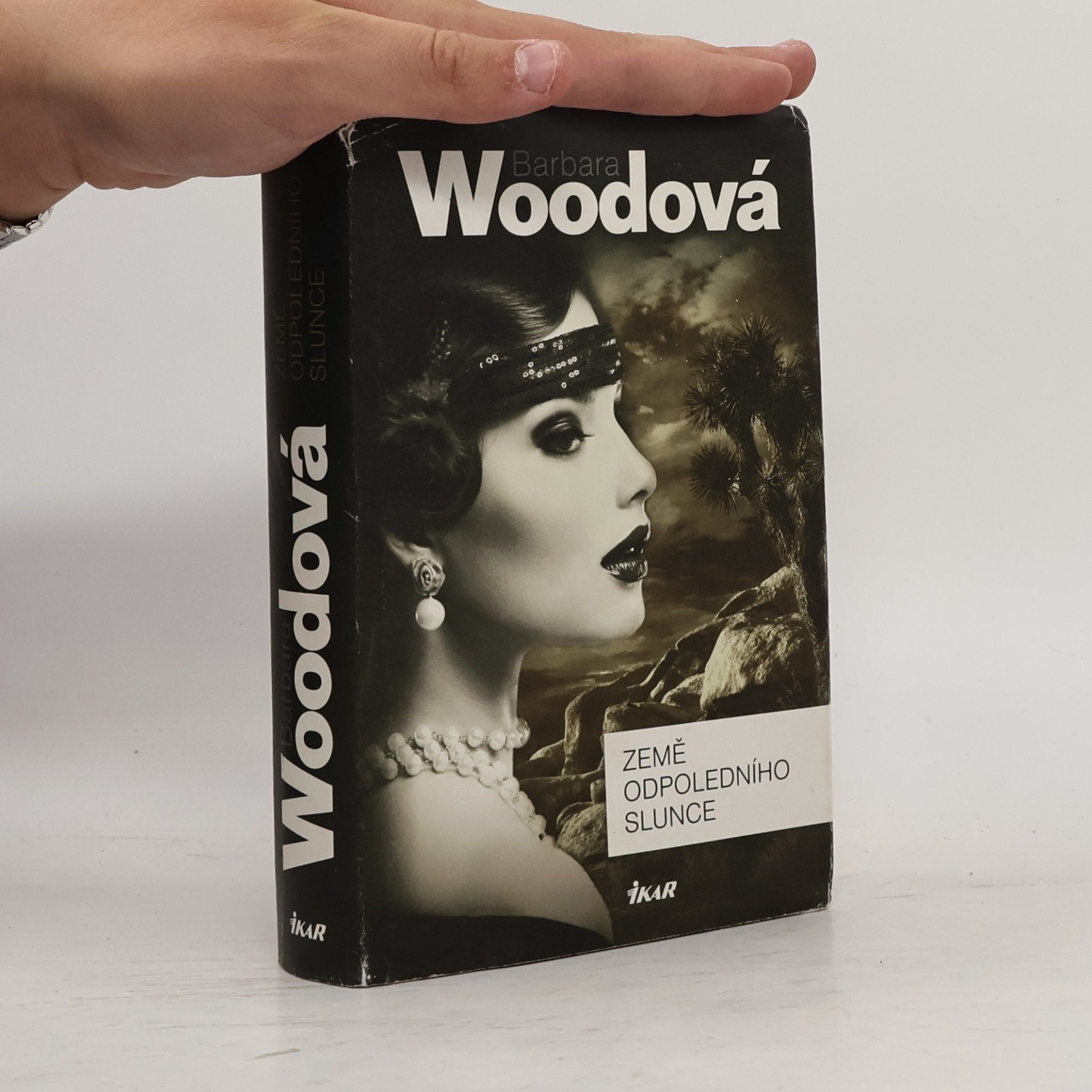 Barbara Wood Země odpoledního slunce