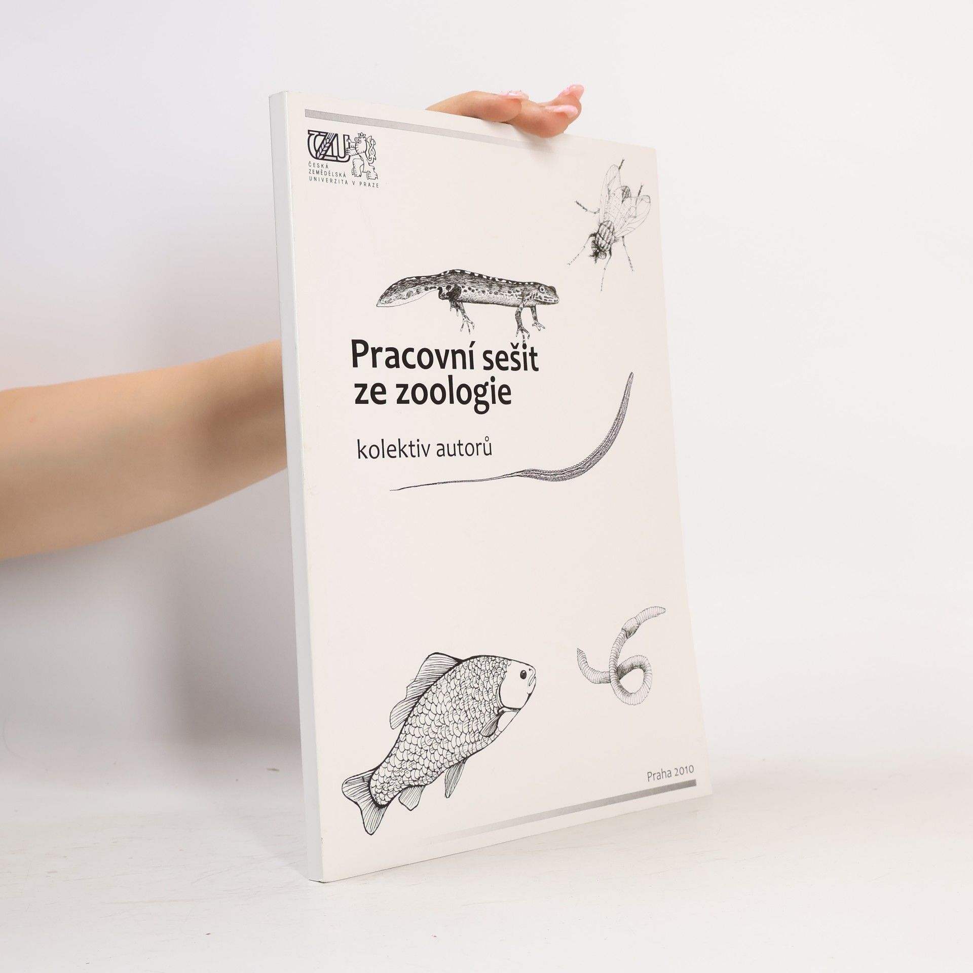 Auteurscollectief Pracovní sešit ze zoologie
