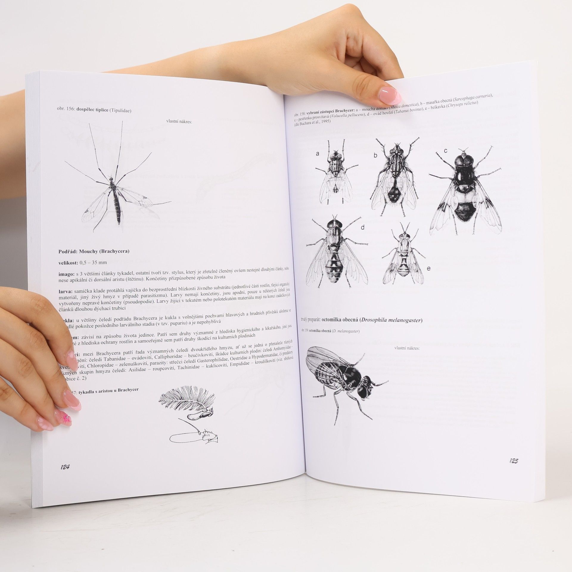 Auteurscollectief Pracovní sešit ze zoologie