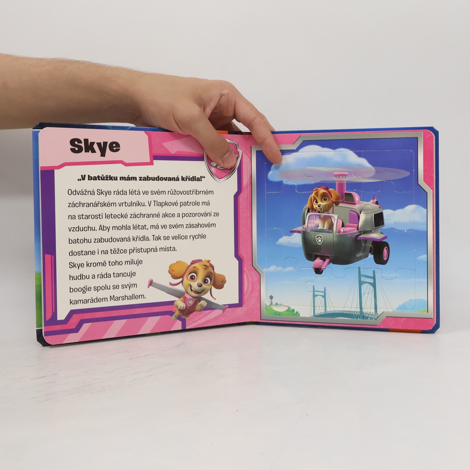 Collectif d'auteurs Paw Patrol. Puzzlebuch