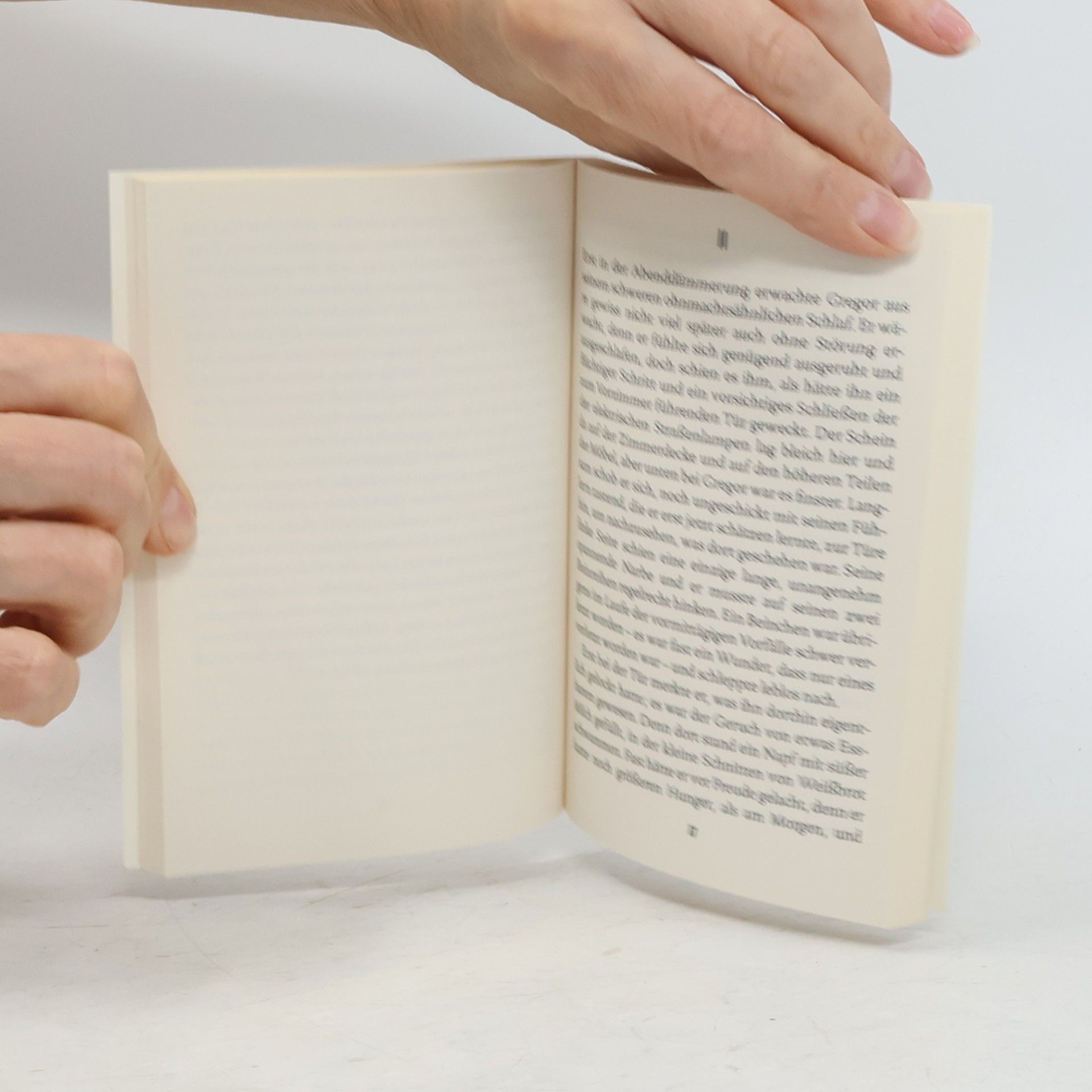 Franz Kafka Die Verwandlung