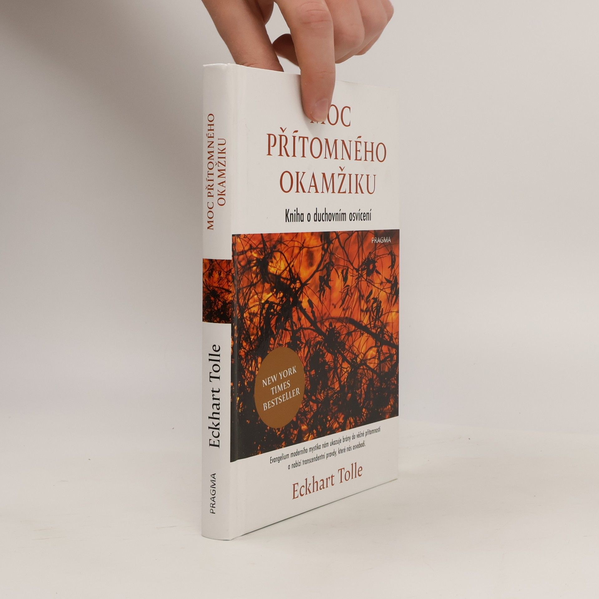 Eckhart Tolle Moc přítomného okamžiku