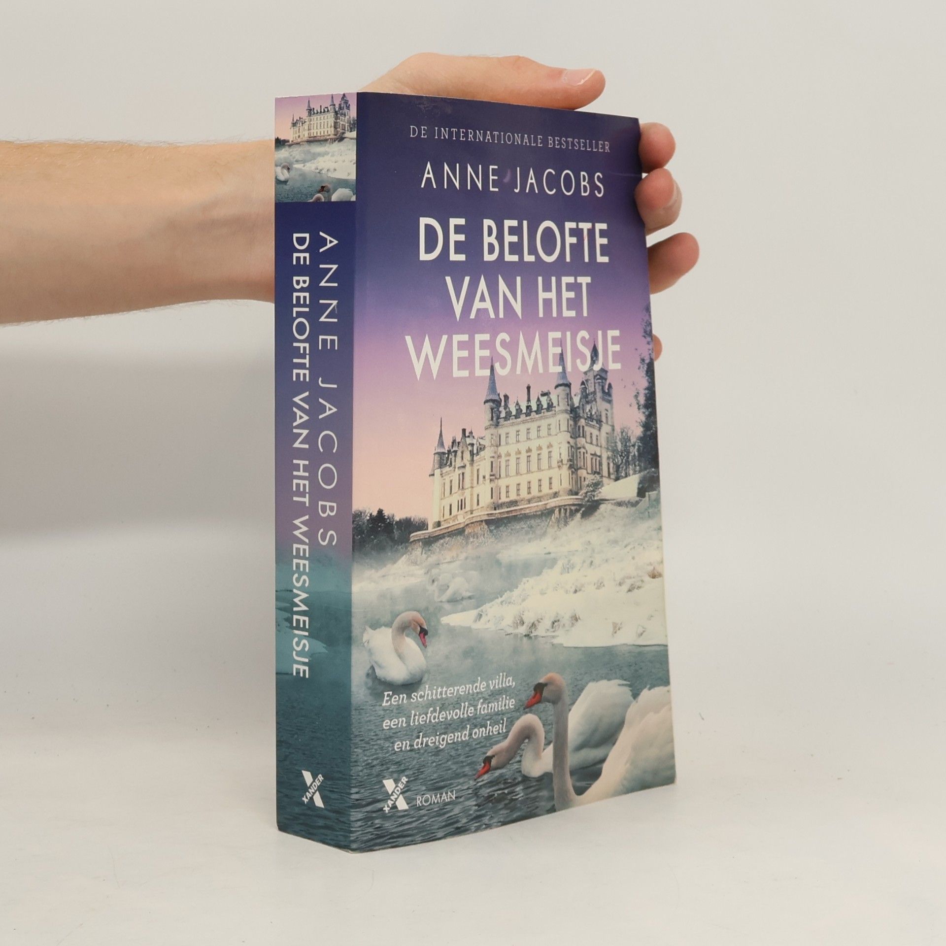 Anne Jacobs Het weesmeisje - 5: De belofte van het weesmeisje
