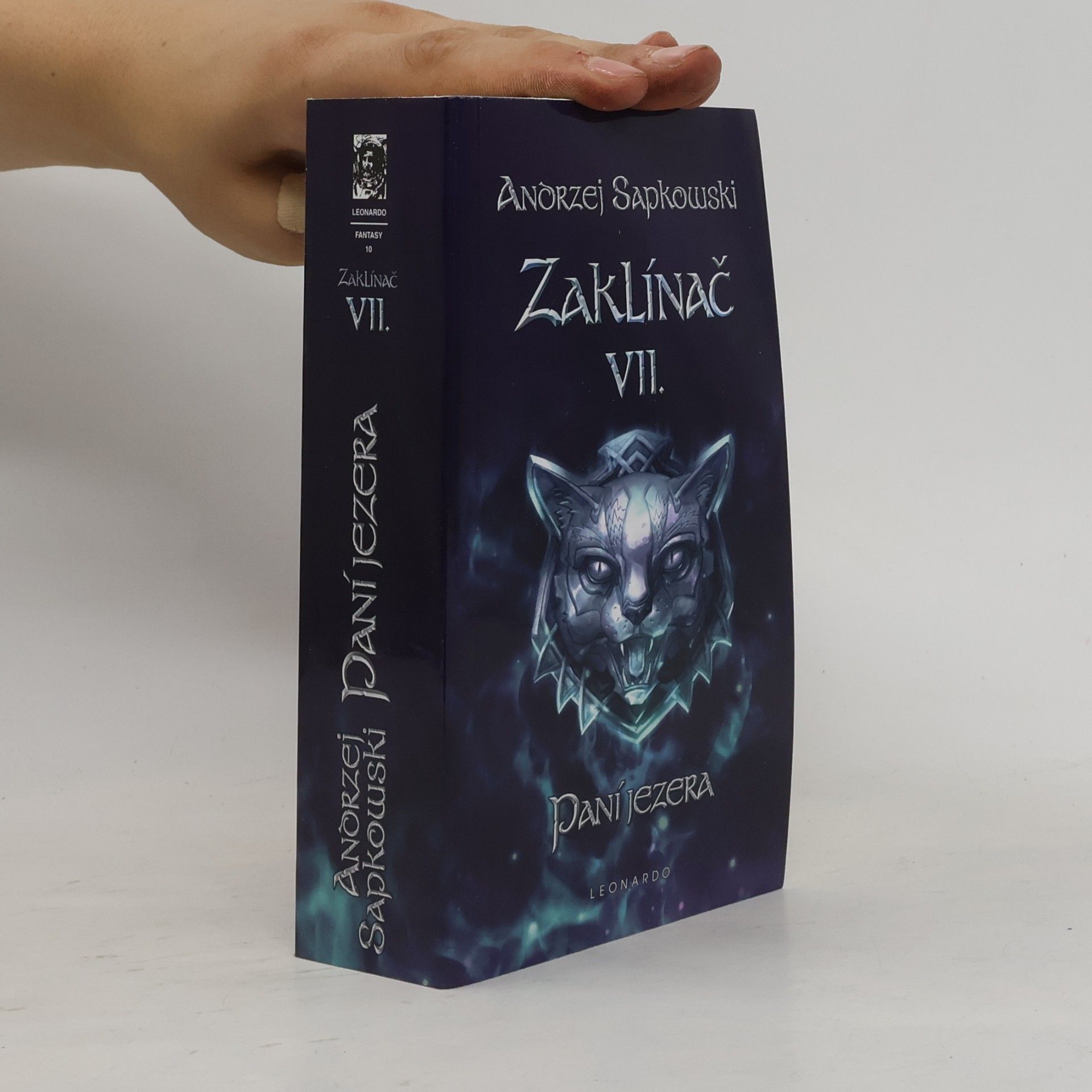 Zaklínač VII. Paní jezera