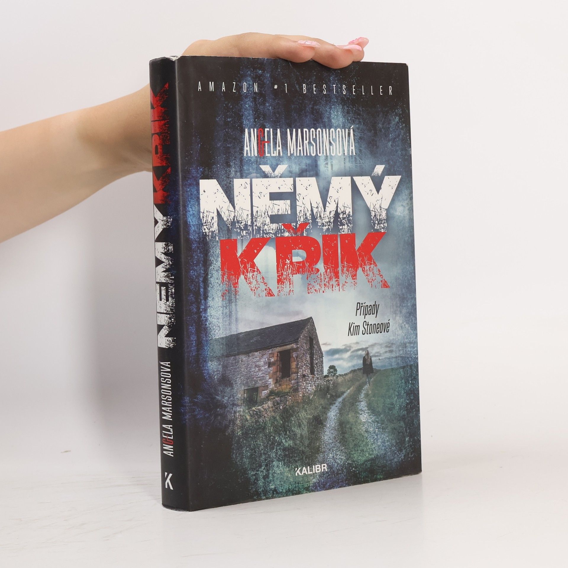 Angela Marsons Němý křik