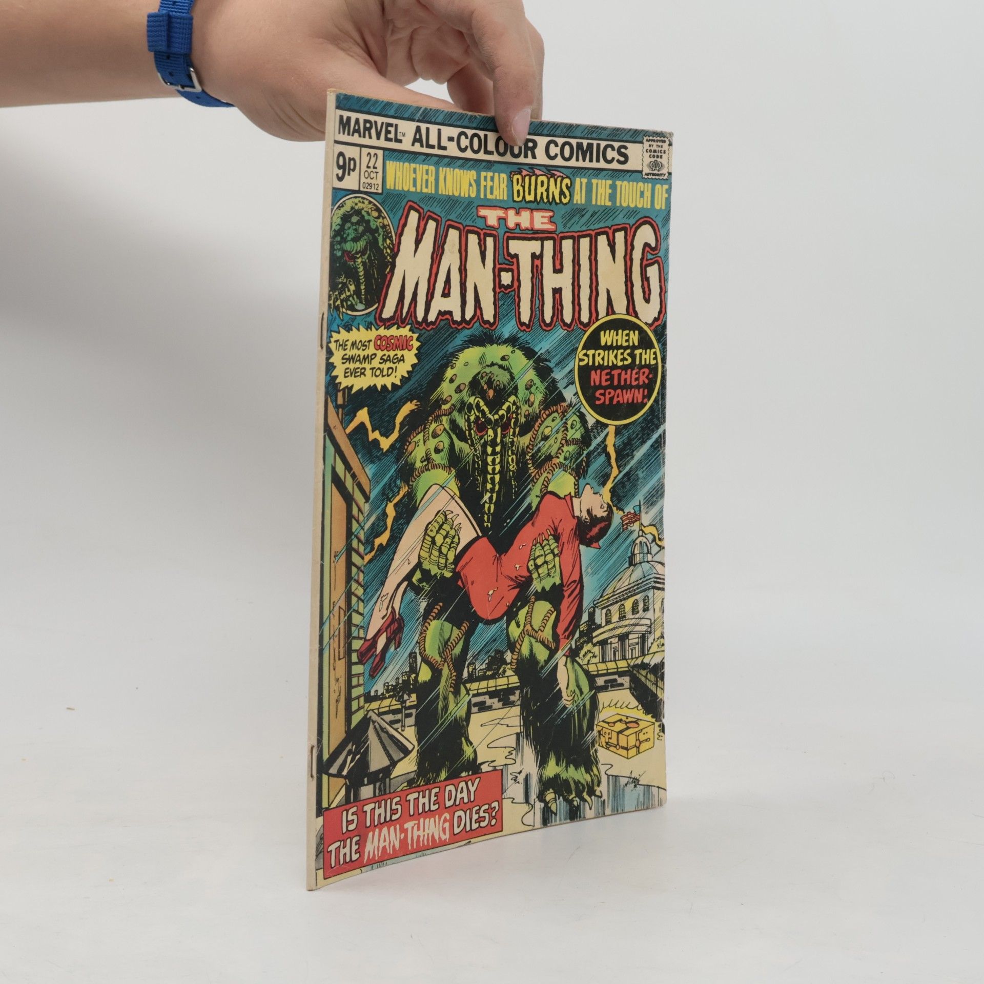 Kolektív autorov The Man-Thing 22
