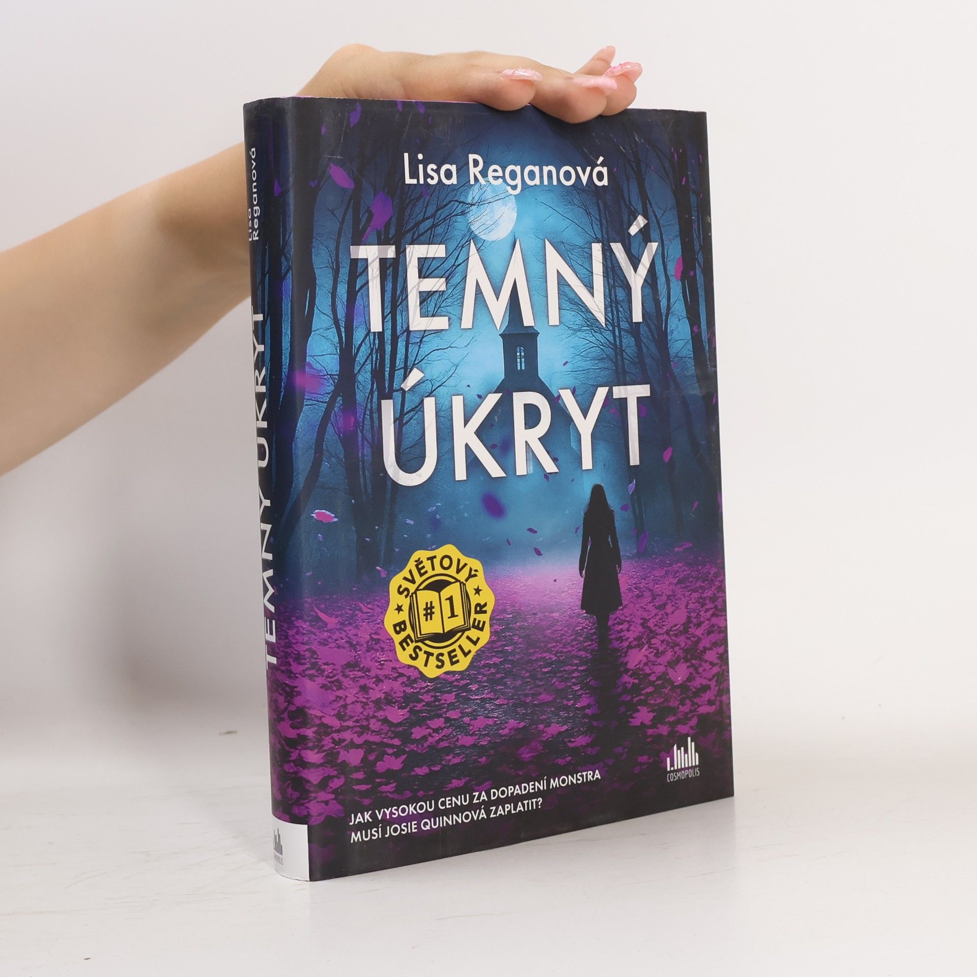 Lisa Regan Temný úkryt