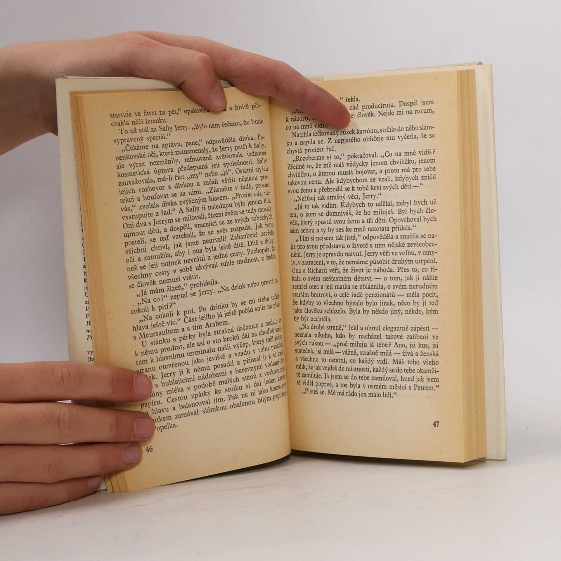 John Updike Chceš si mě vzít?