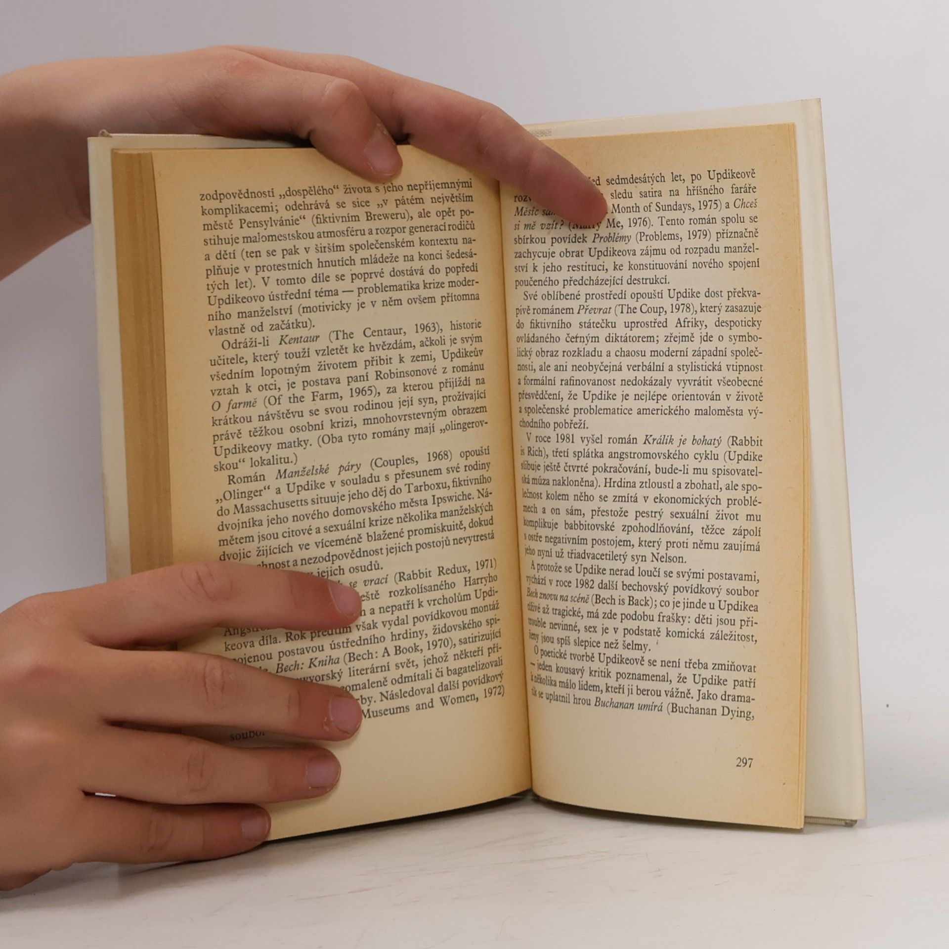 John Updike Chceš si mě vzít?
