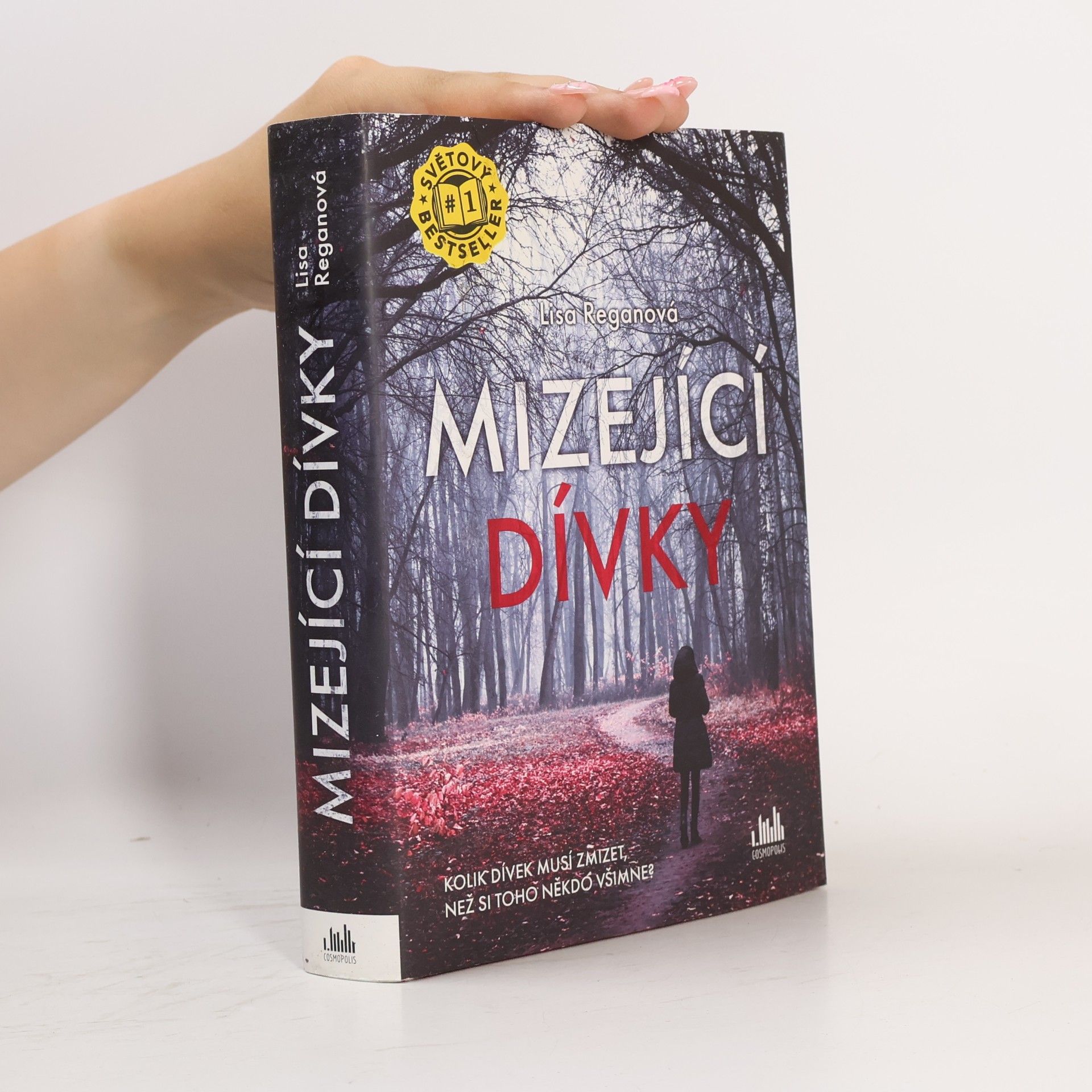 Lisa Regan Mizející dívky