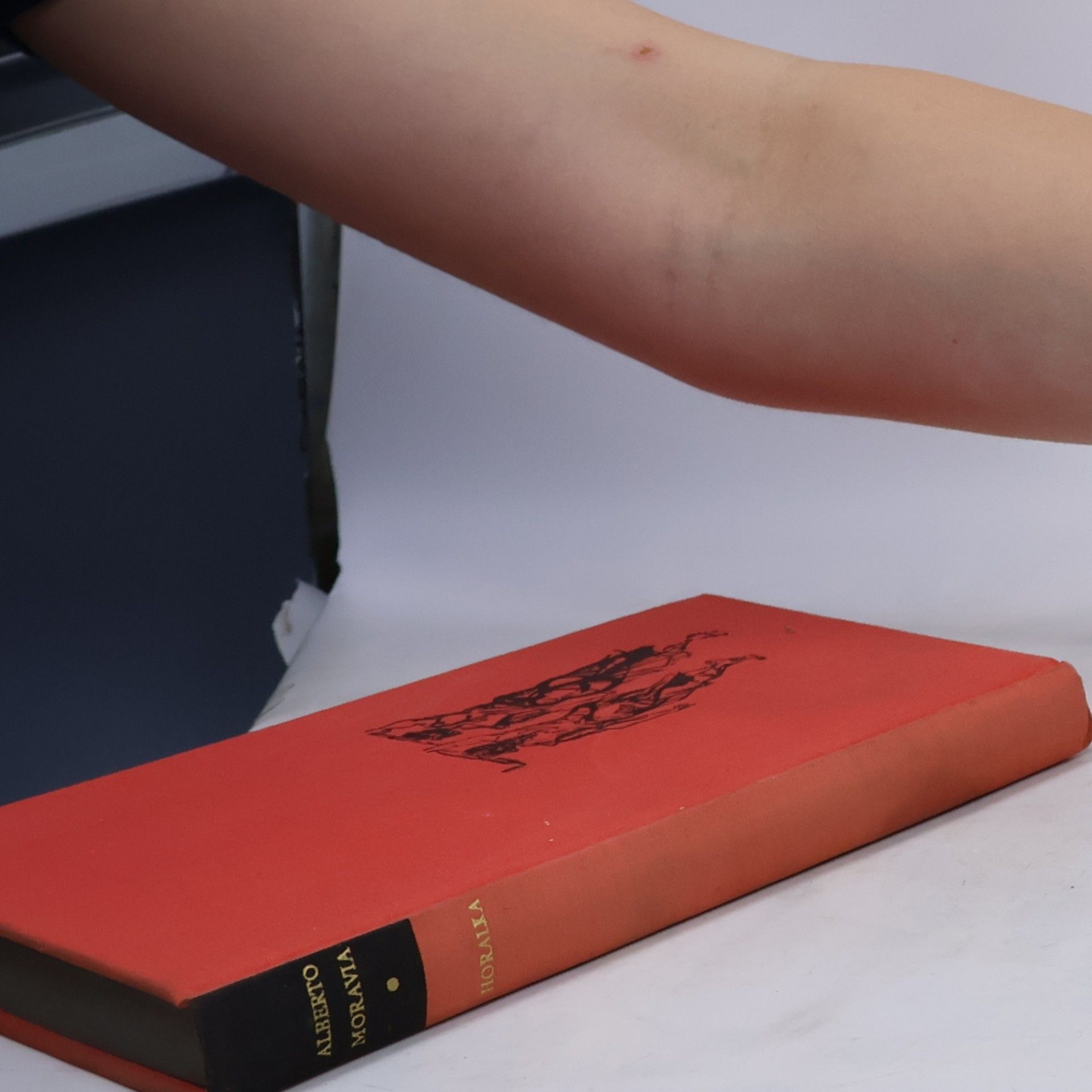 Collectif d'auteurs To nejlepší z poezie 19. století