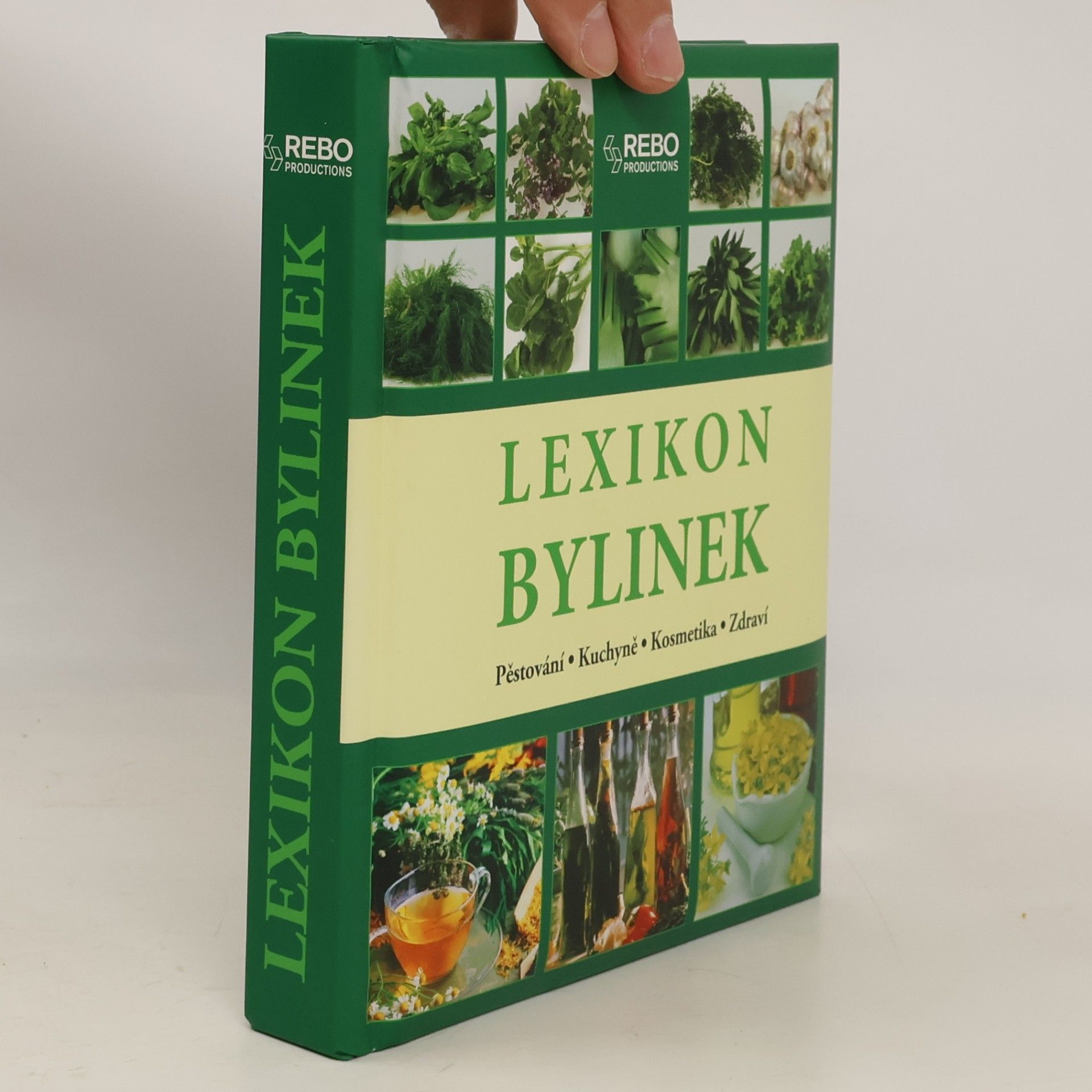 Andrea Rausch Lexikon bylinek