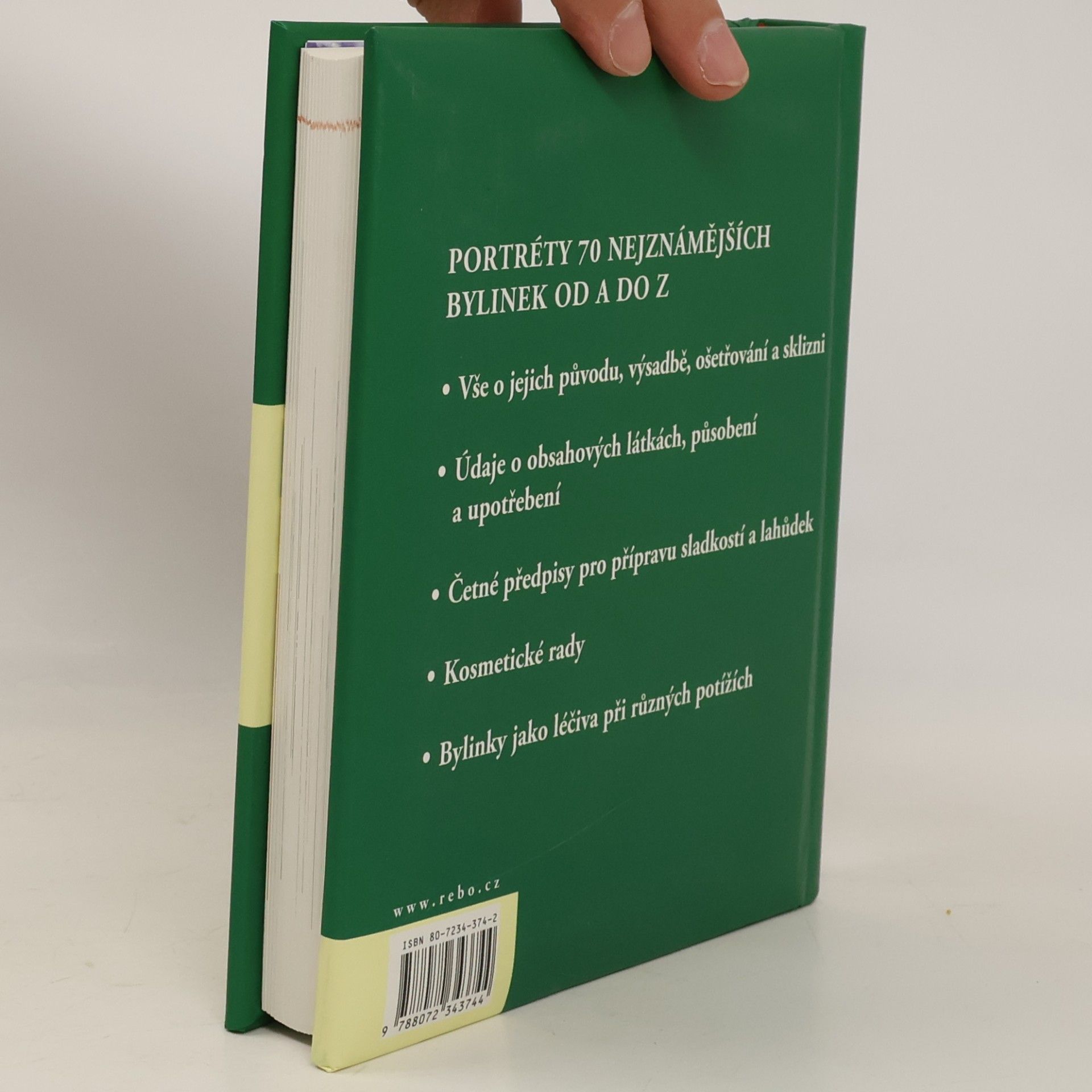 Andrea Rausch Lexikon bylinek