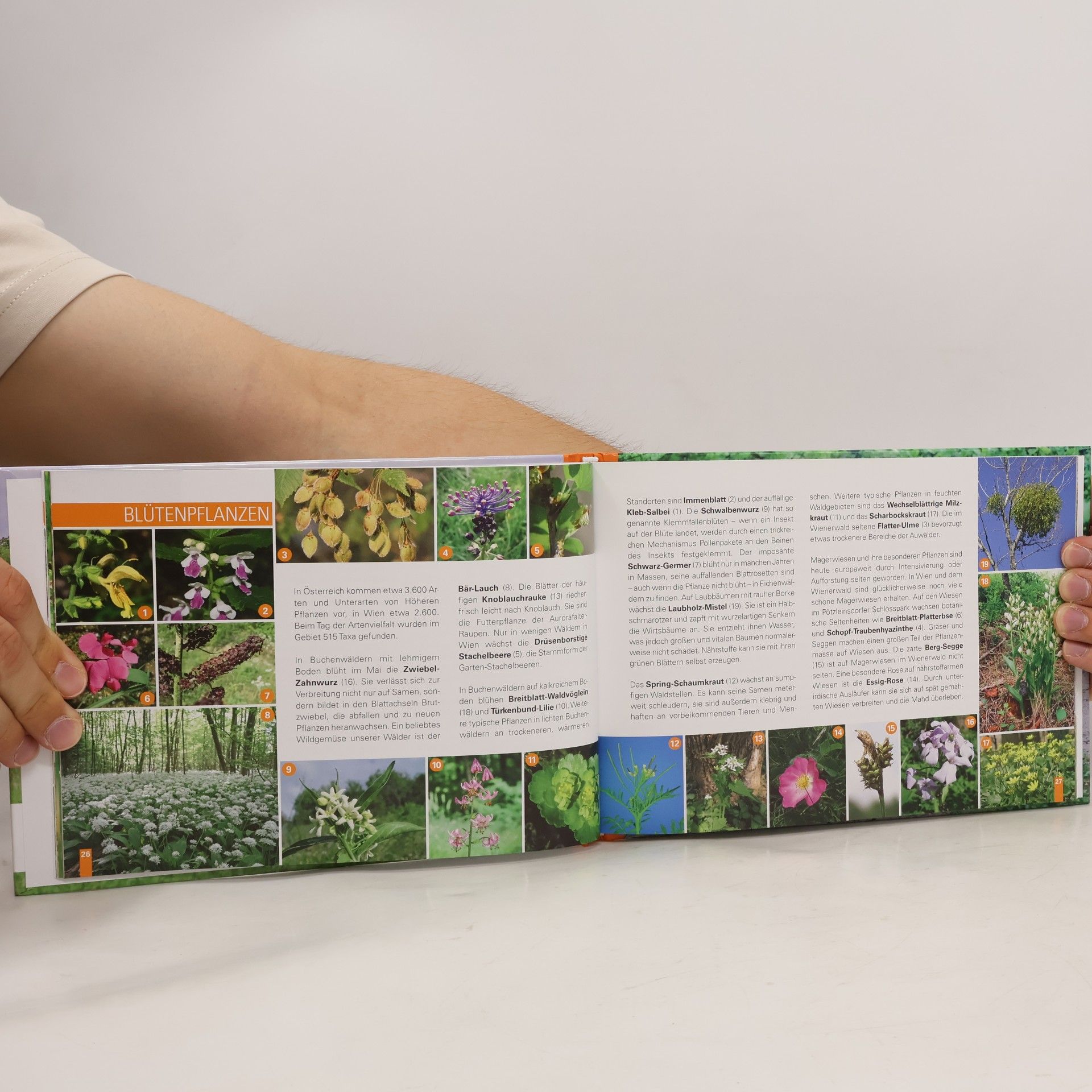 Autorenkollektiv Natur in Währing