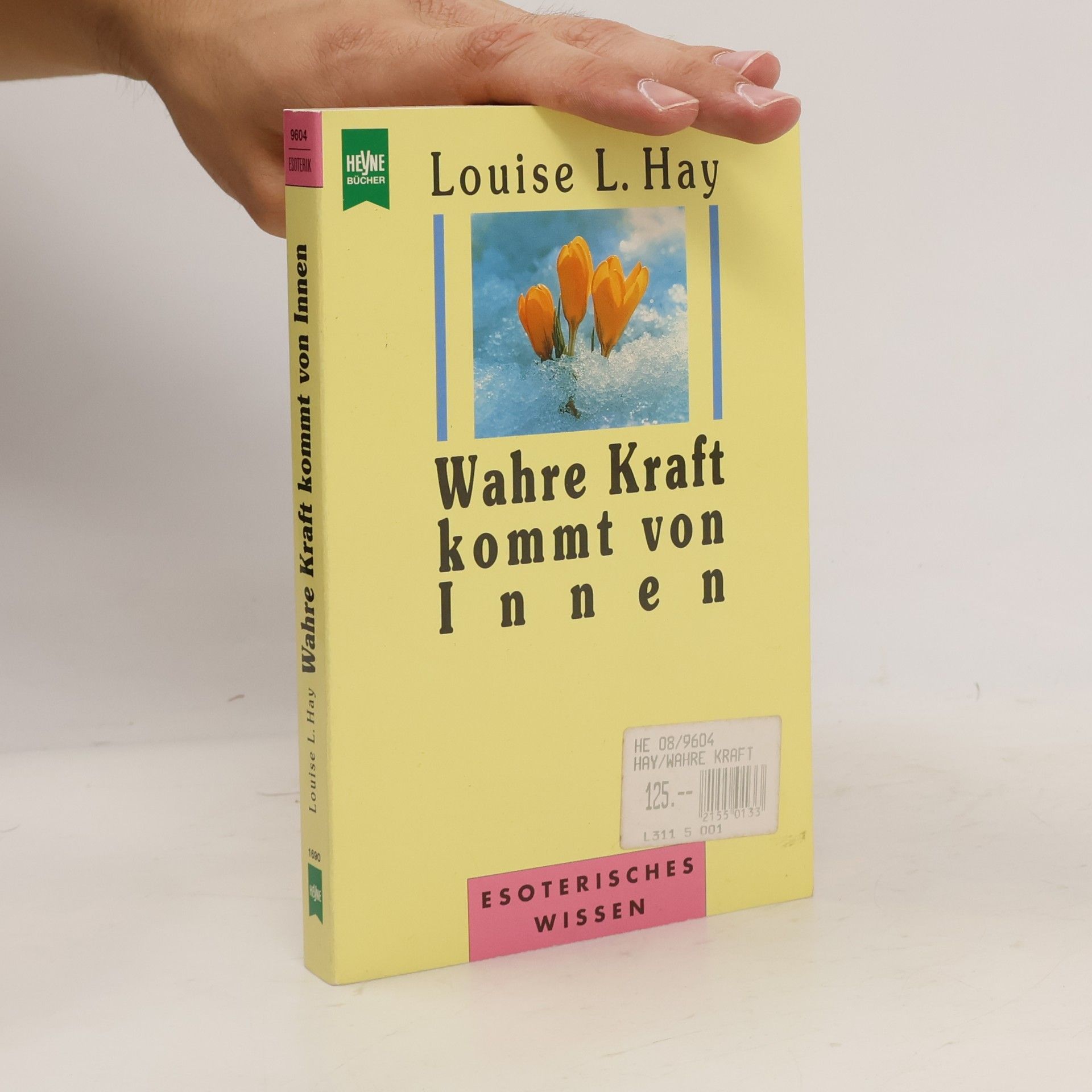 Louise Lynn Hay Wahre Kraft kommt von Innen