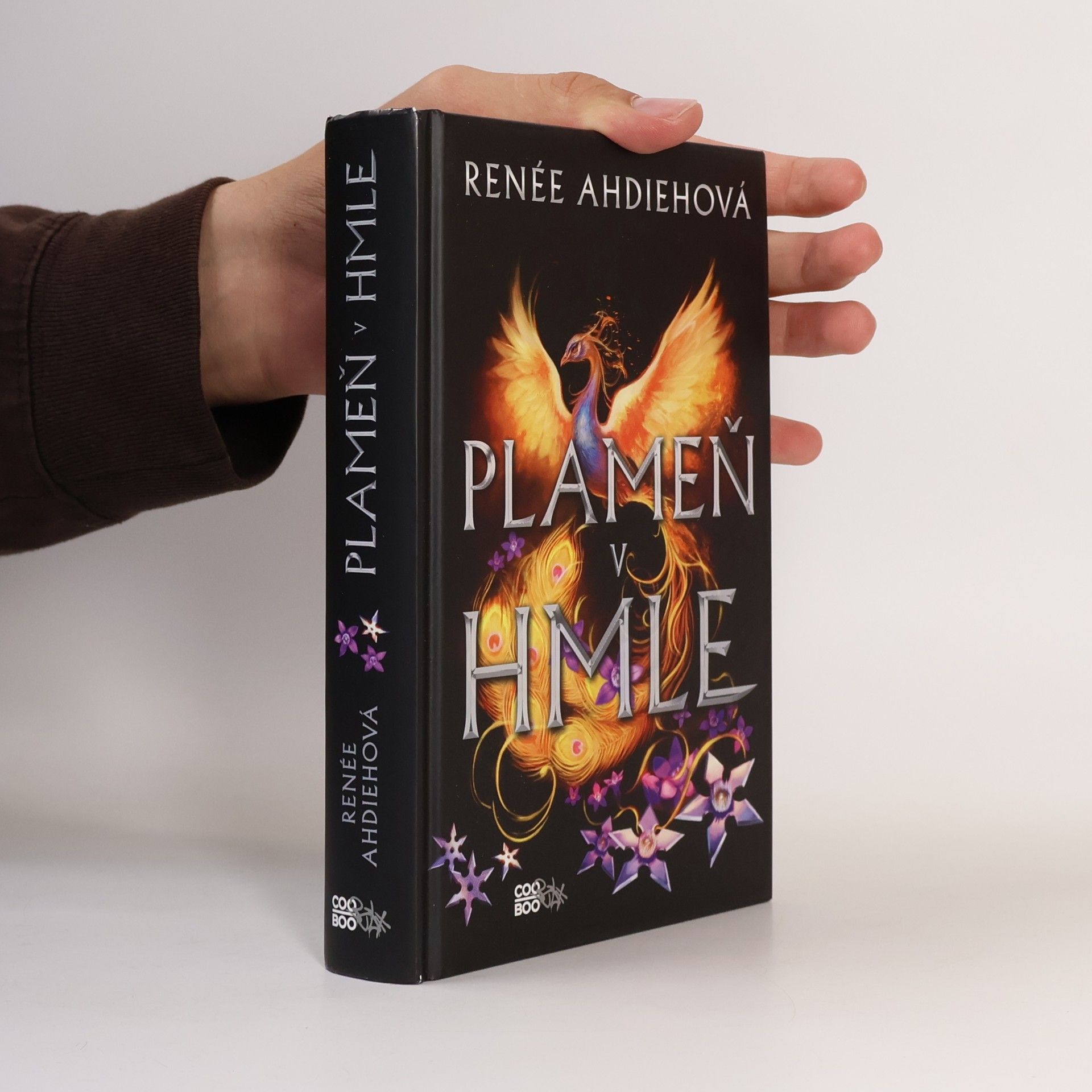 Renee Ahdieh Plameň v hmle