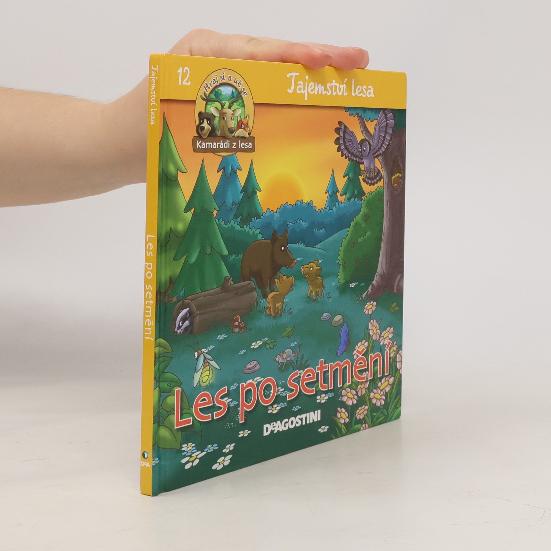 Autorenkollektiv Tajemství lesa 12. Les po setmění