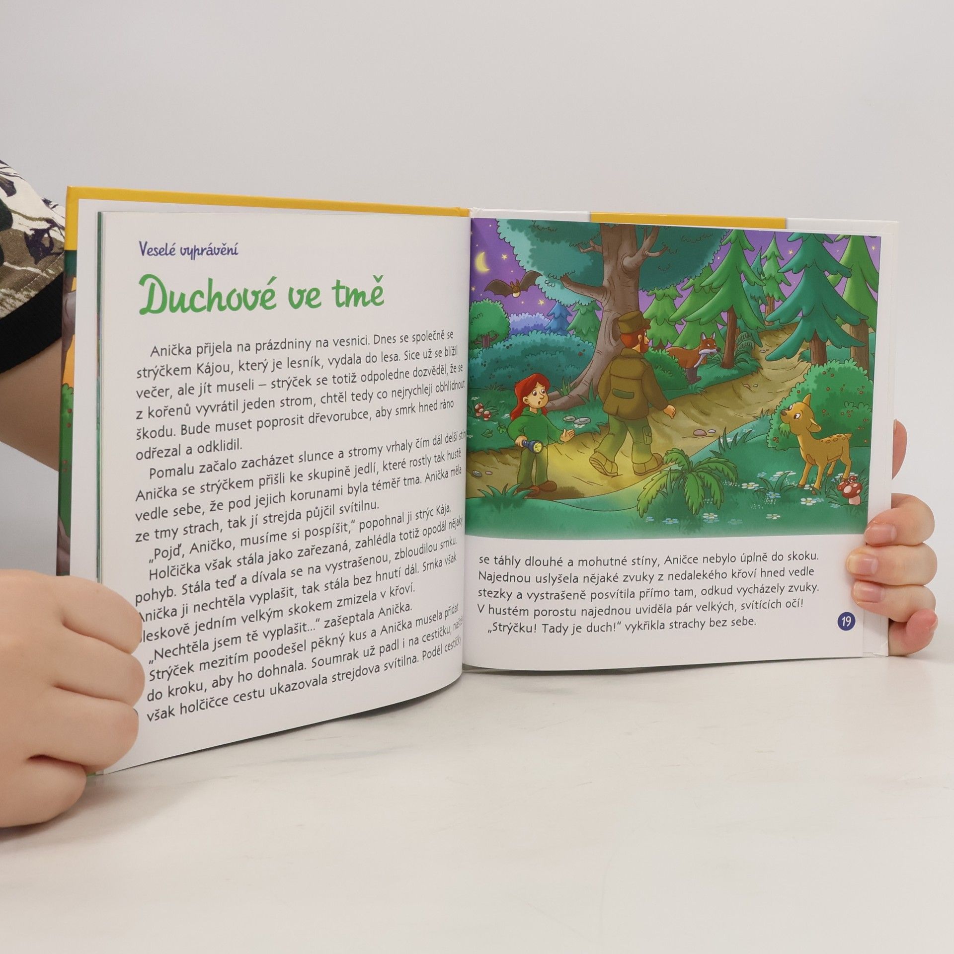 Autorenkollektiv Tajemství lesa 12. Les po setmění