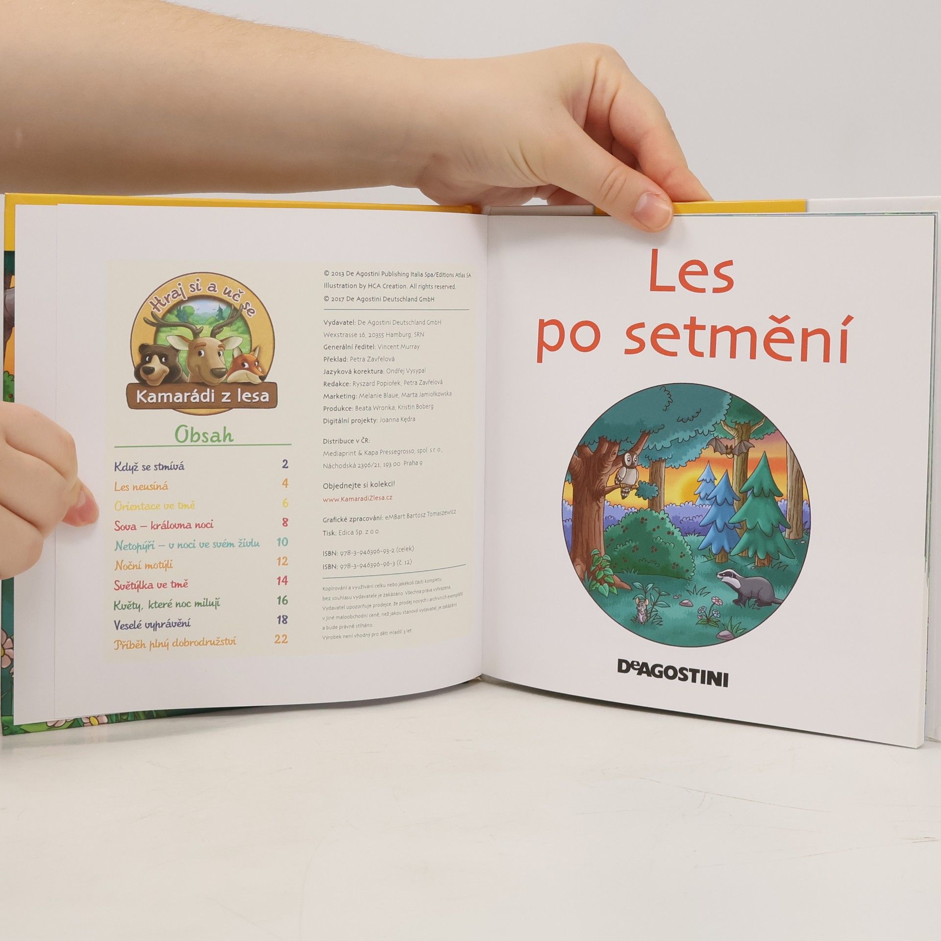 Autorenkollektiv Tajemství lesa 12. Les po setmění