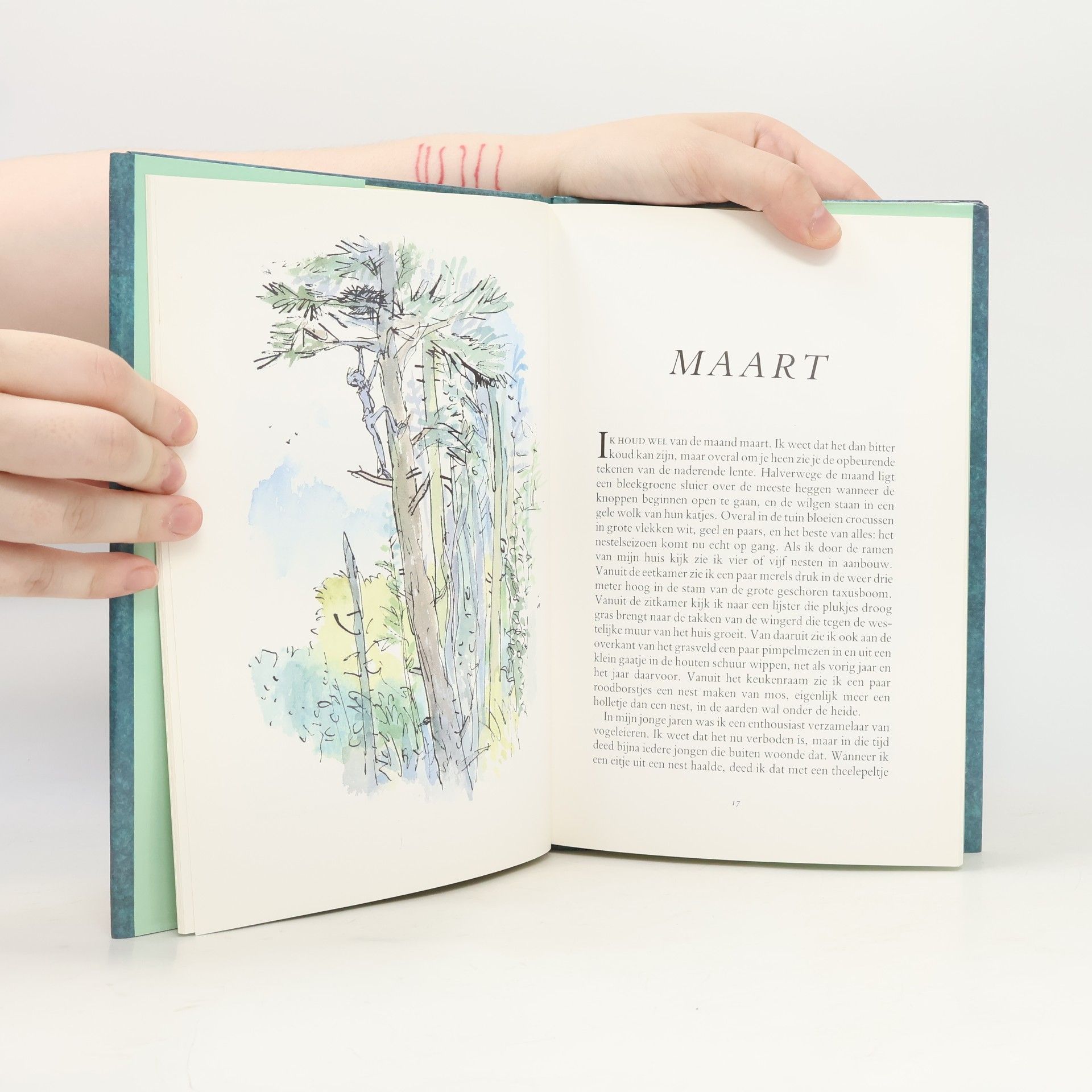 Roald Dahl Mijn jaar