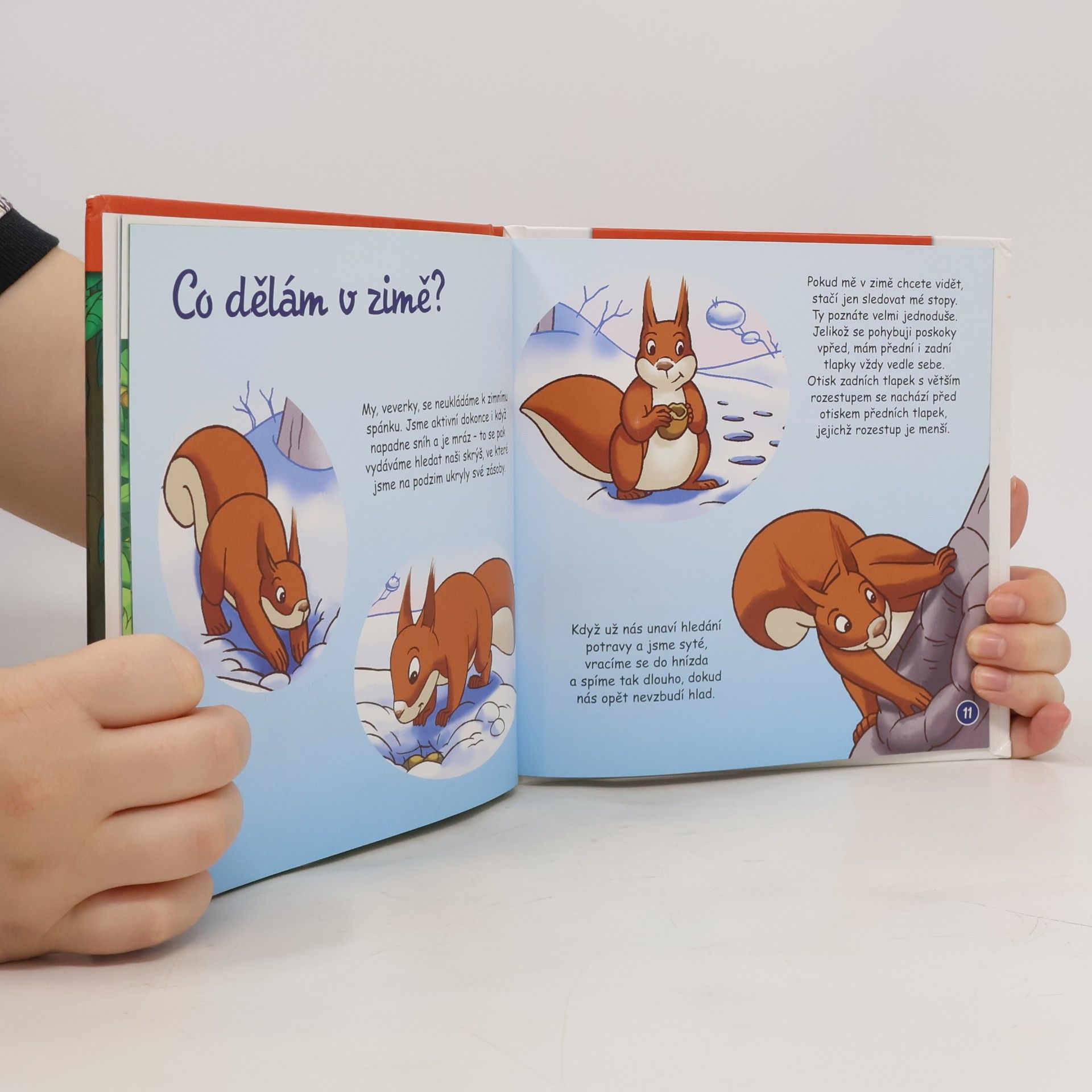 Auteurscollectief Na okraji lesa 5. Veverka