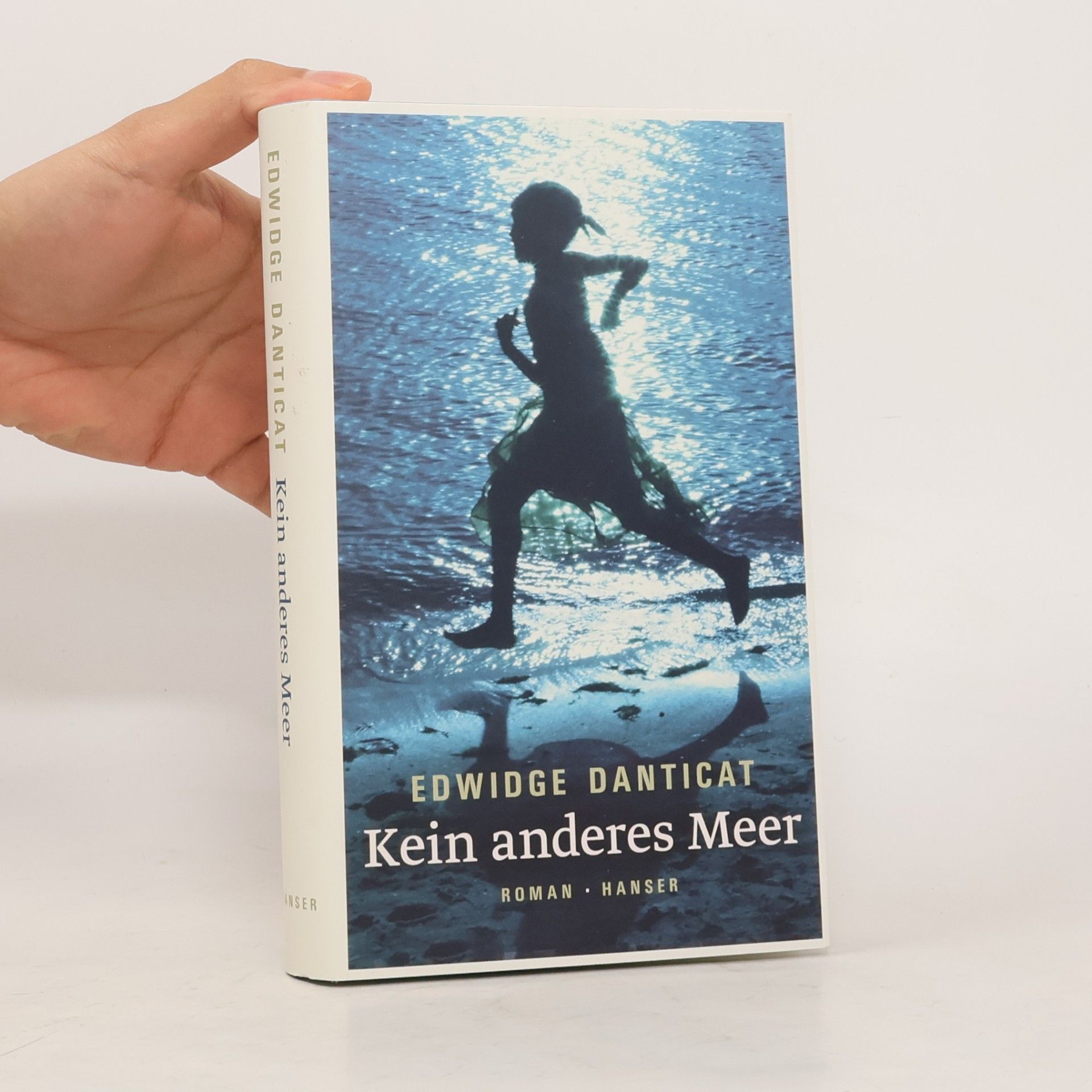 Edwidge Danticat Kein anderes Meer