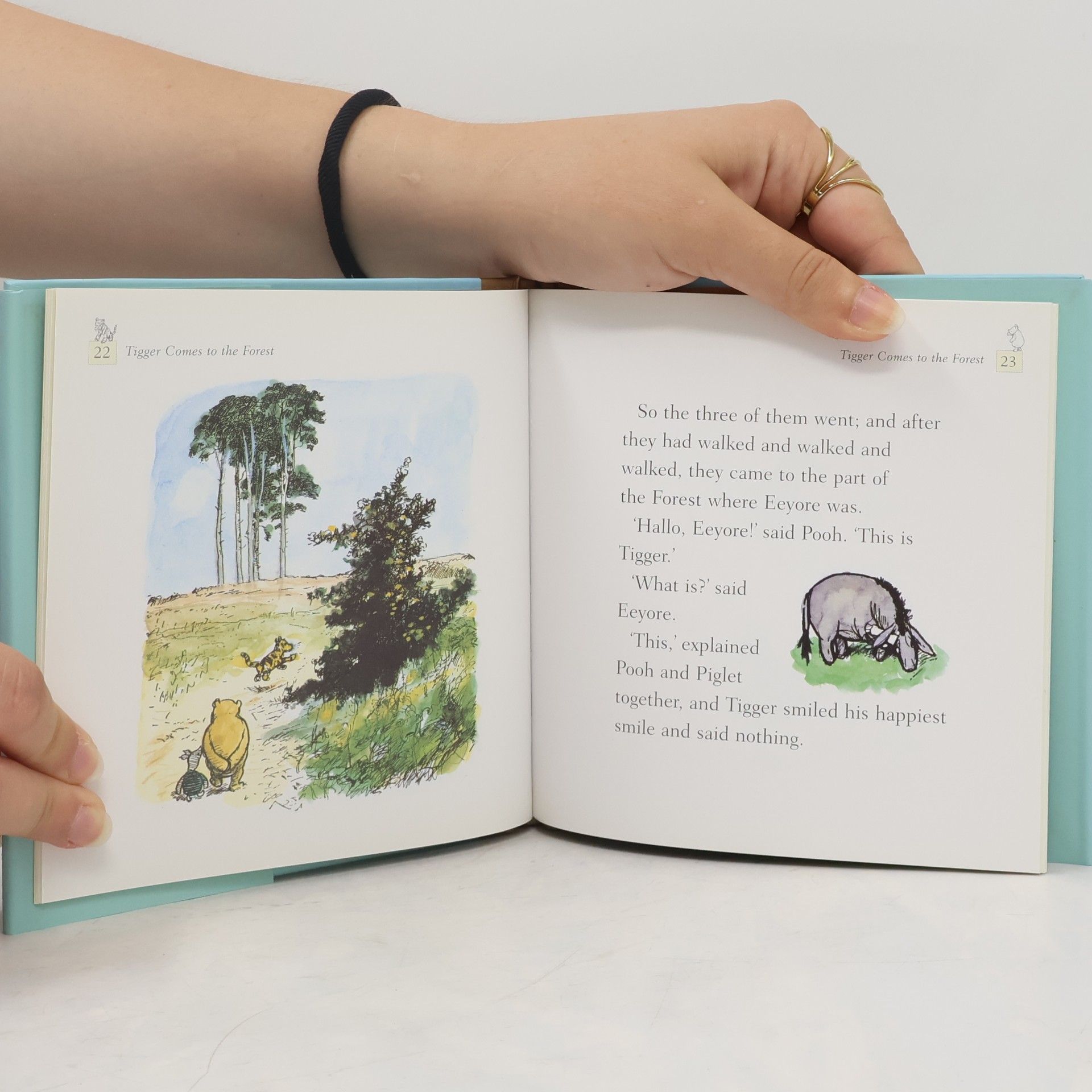 Alan Alexander Milne Winnie-The-Pooh: Tigger Comes to the Forest