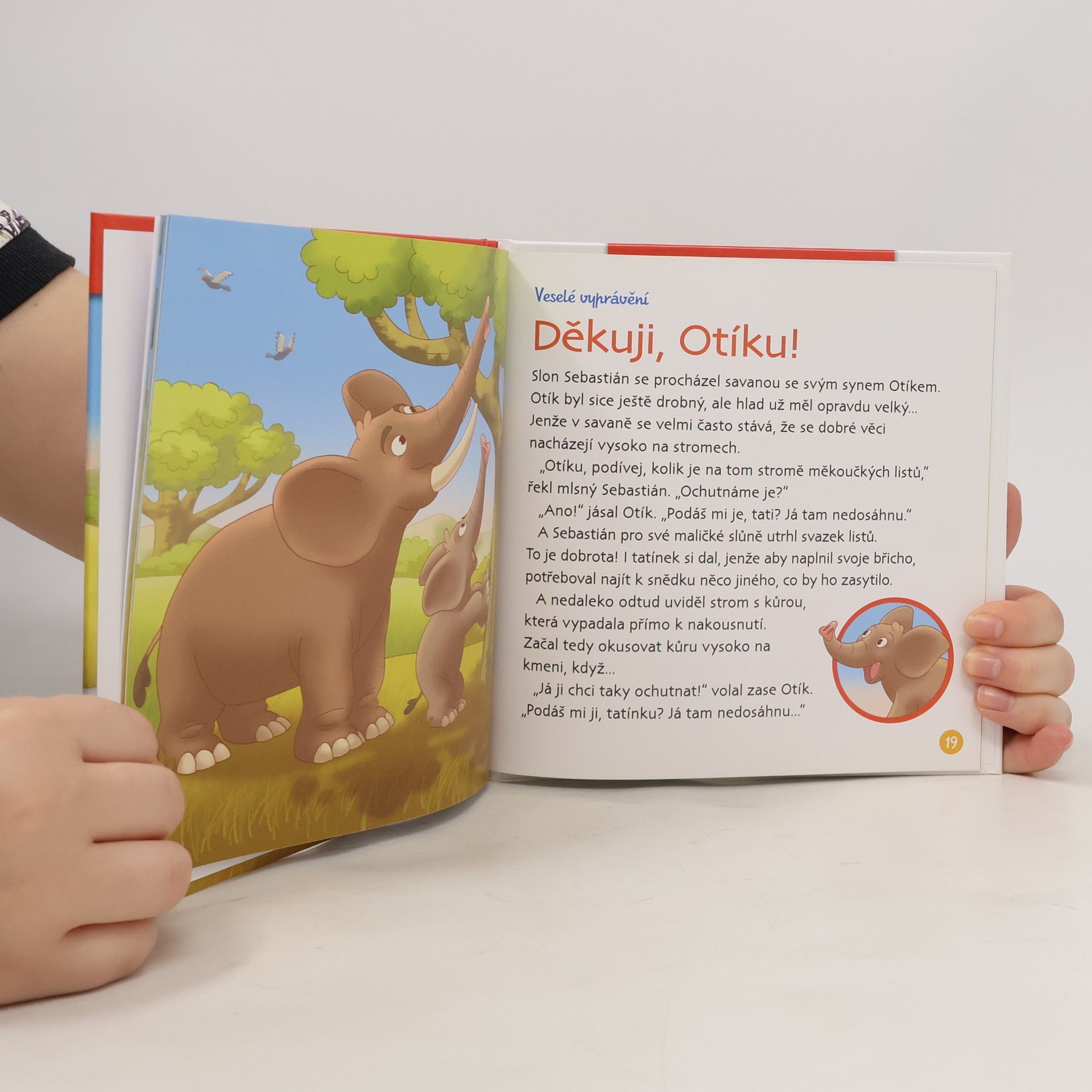 Kolektiv autorů Bydlím v savaně 3. Slon