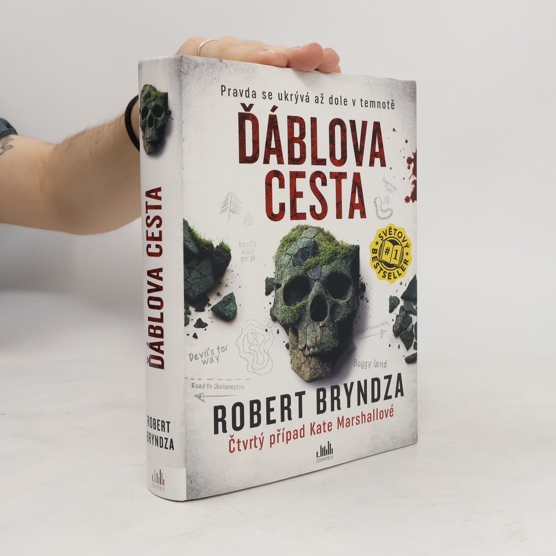 Robert Bryndza Ďáblova cesta