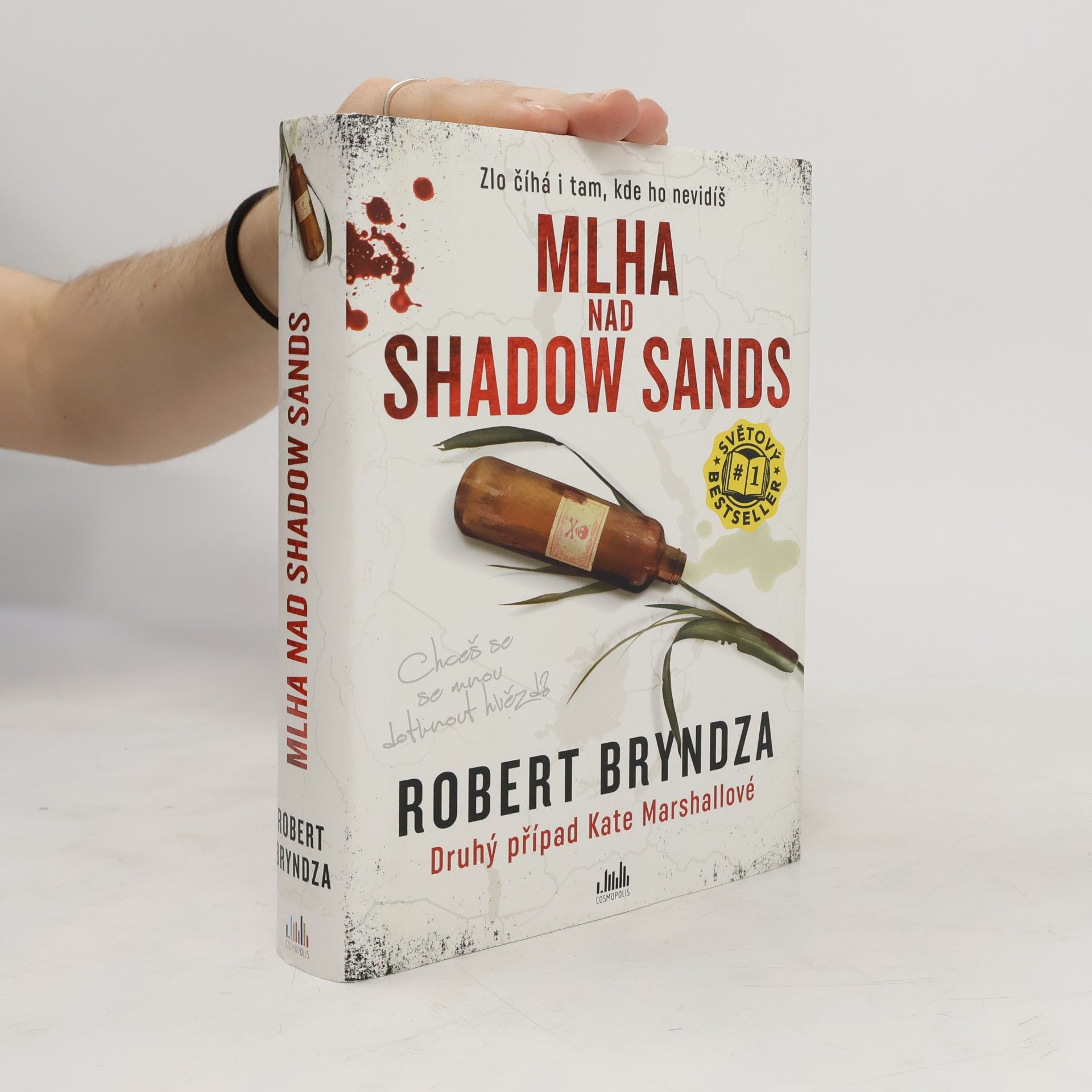 Robert Bryndza Mlha nad Shadow Sands