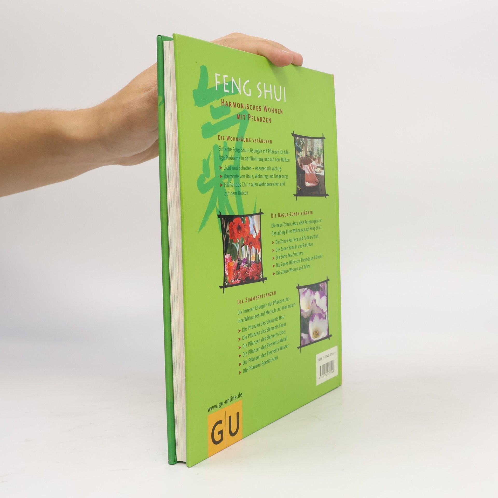 Günther Sator Feng-Shui: Harmonisches Wohnen mit Pflanzen