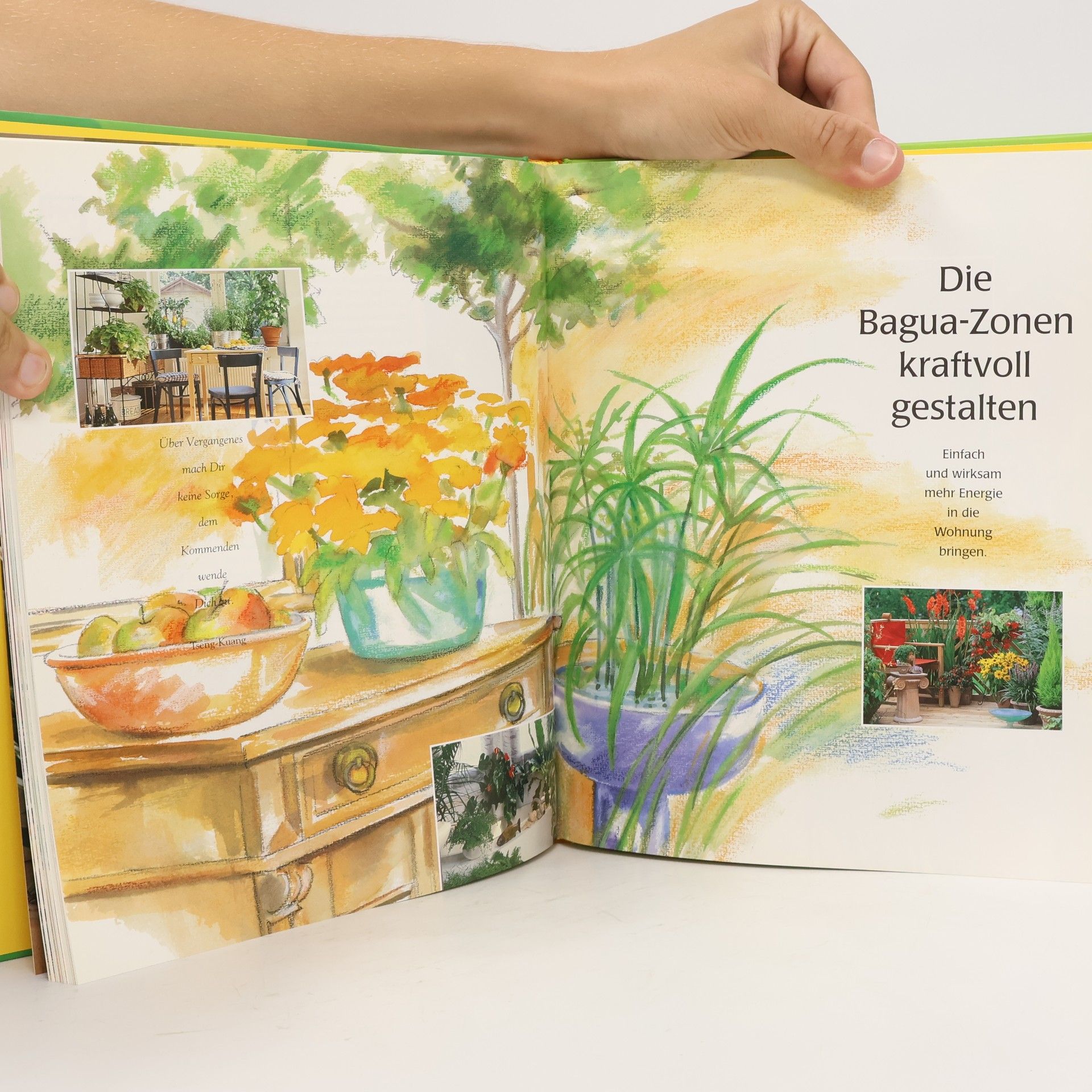 Günther Sator Feng-Shui: Harmonisches Wohnen mit Pflanzen