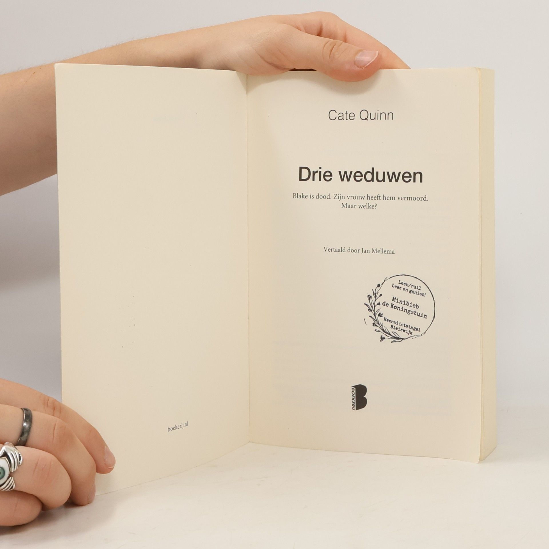 Cate Quinn Drie weduwen