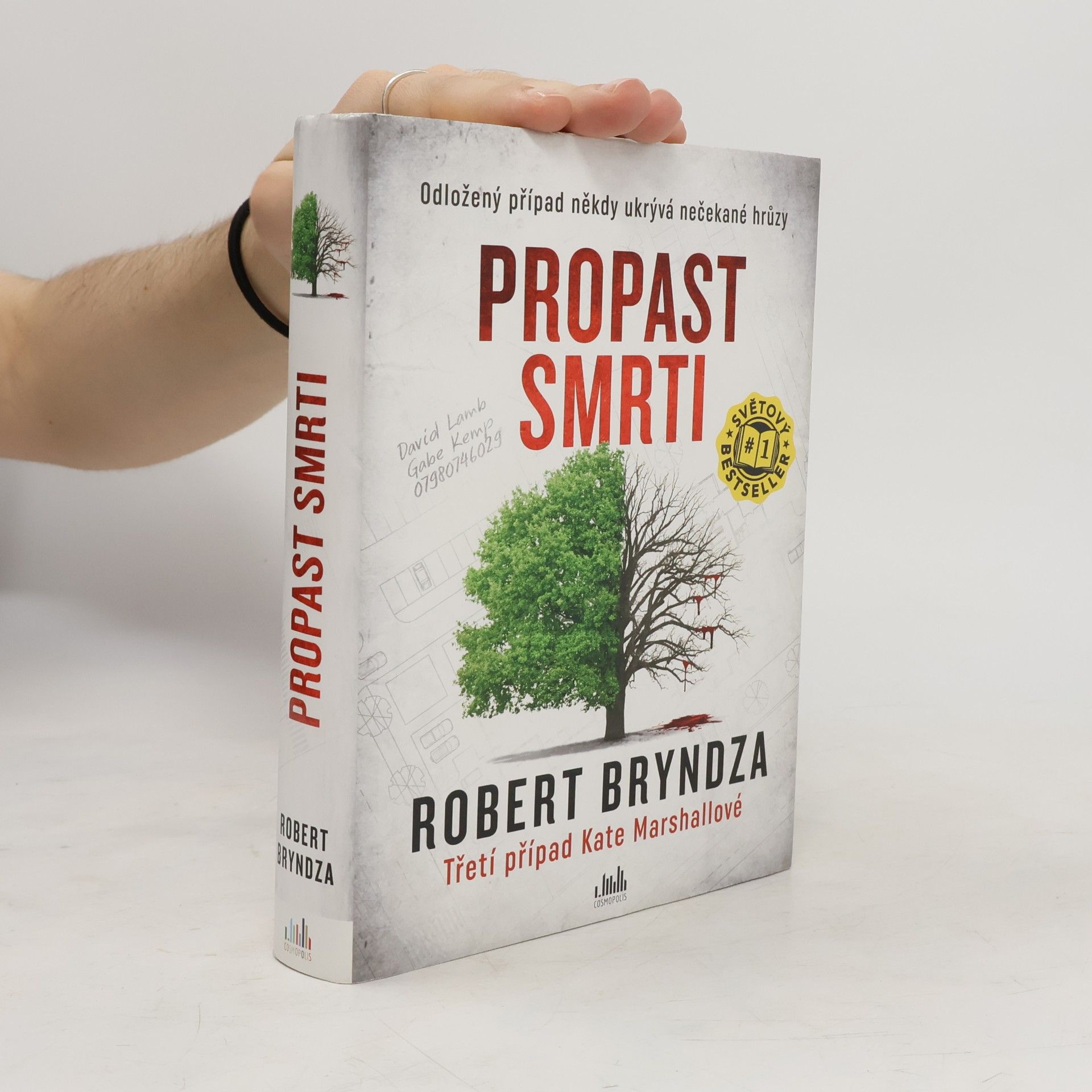 Robert Bryndza Propast smrti
