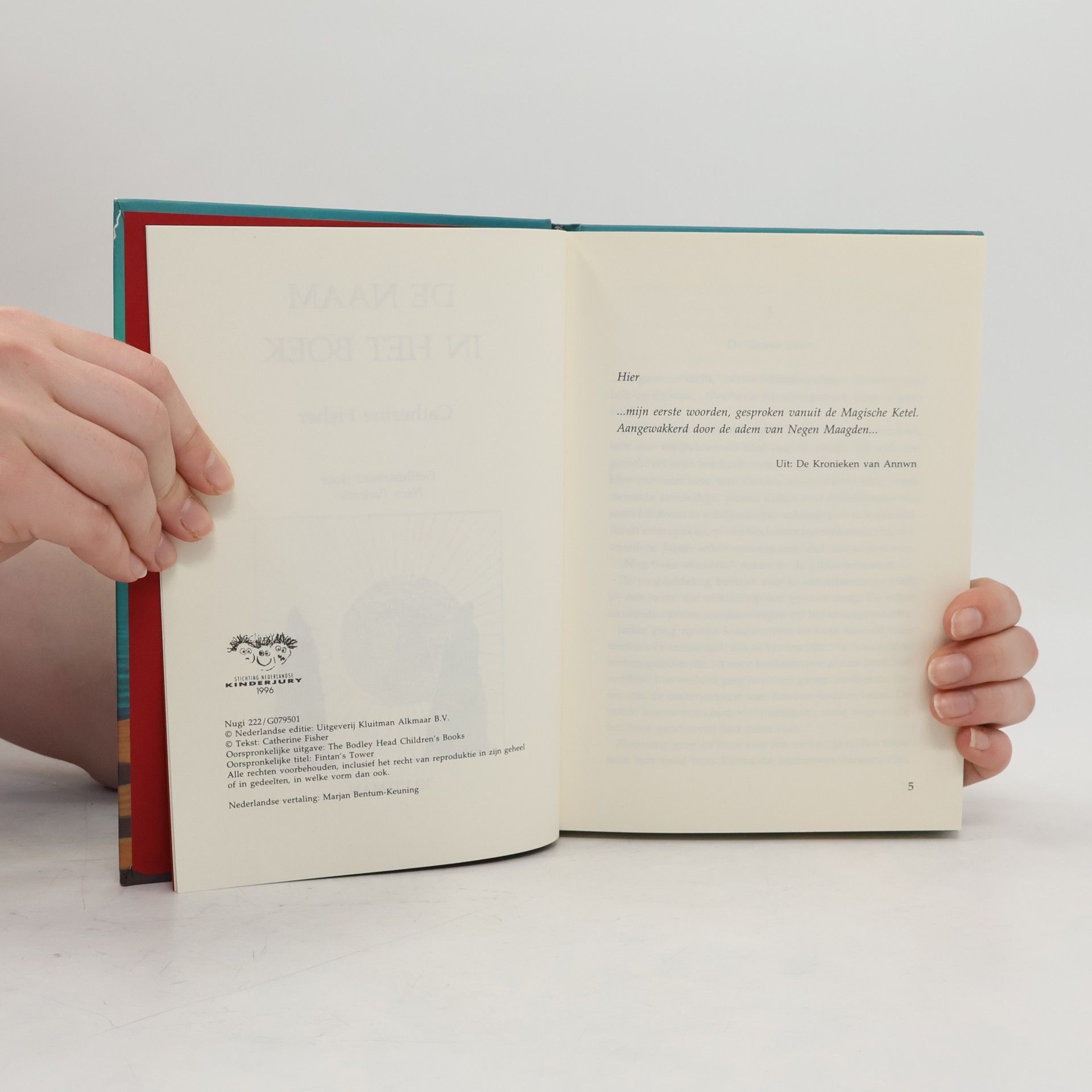 Catherine Fisher De naam in het boek